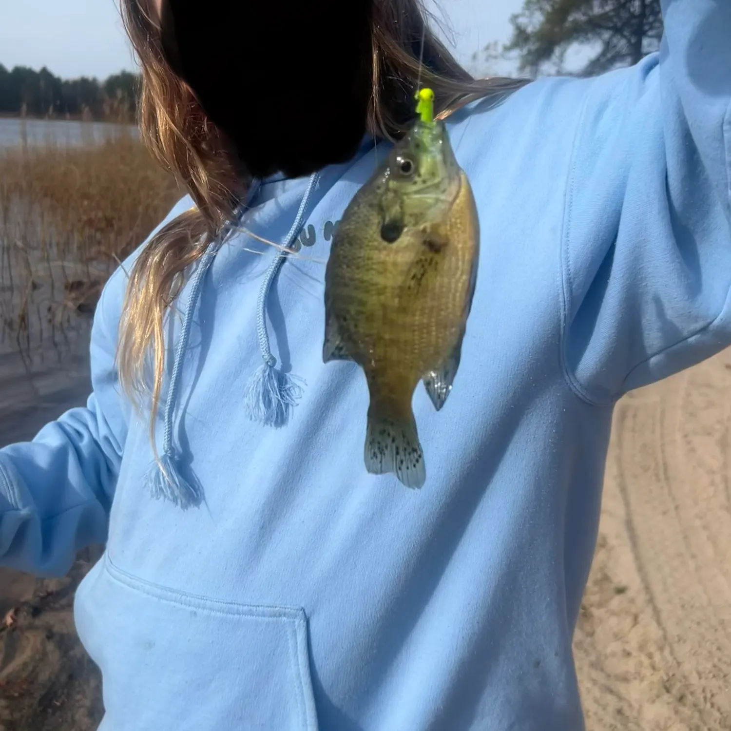 Bluegill caught on Fishbrain