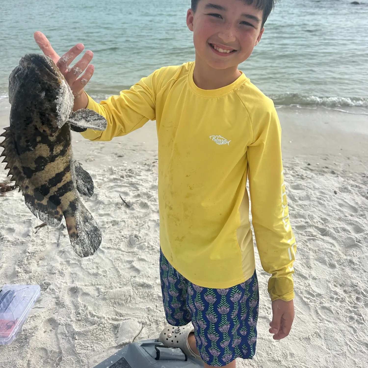 The most recent Atlantic goliath grouper catches on Fishbrain