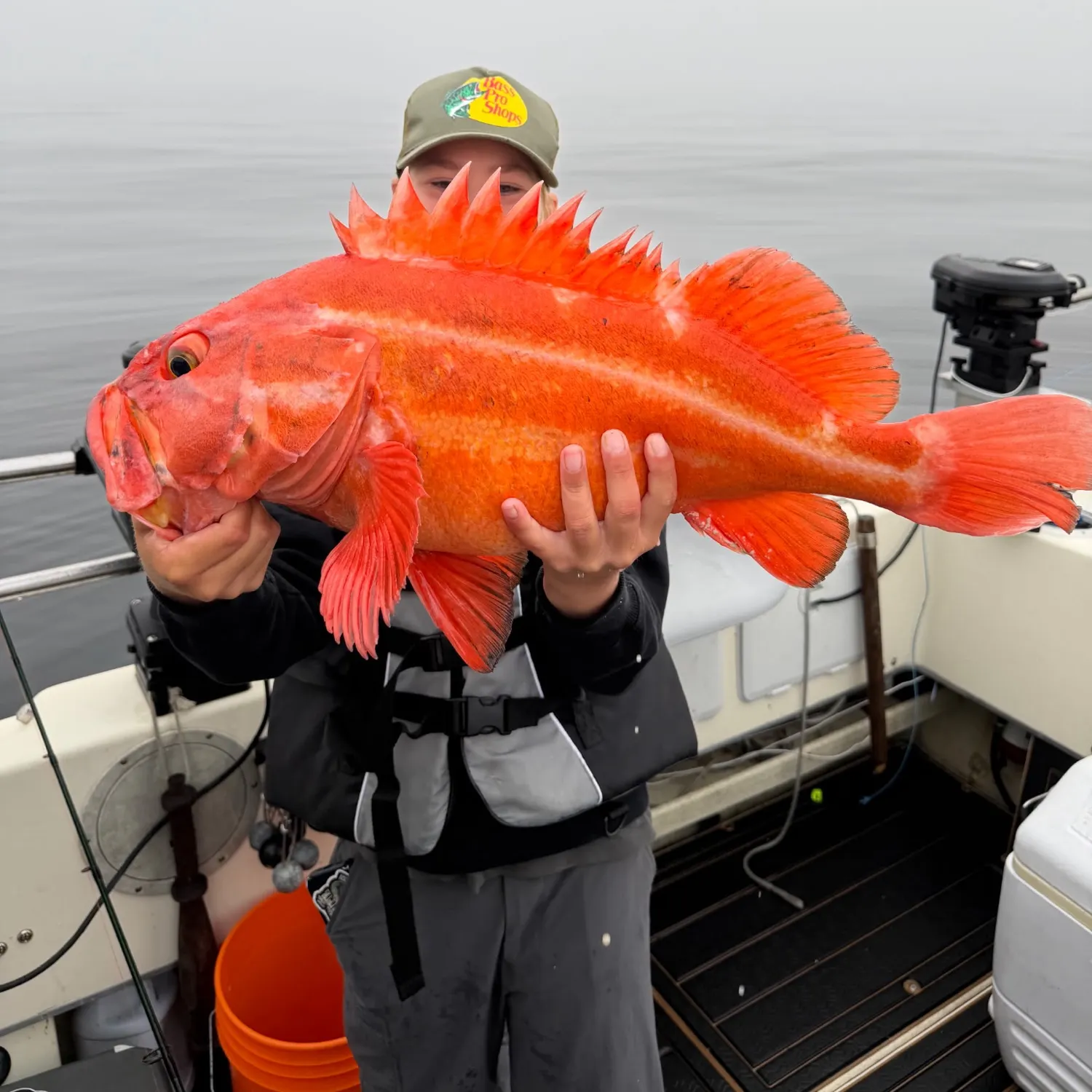 The most recent Yelloweye rockfish catches on Fishbrain