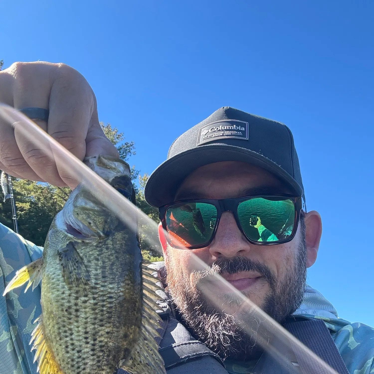 Rock bass caught on Fishbrain