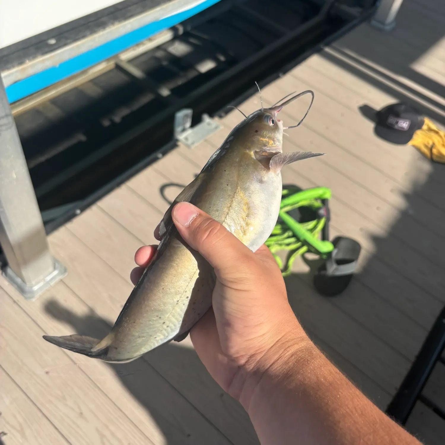 catch