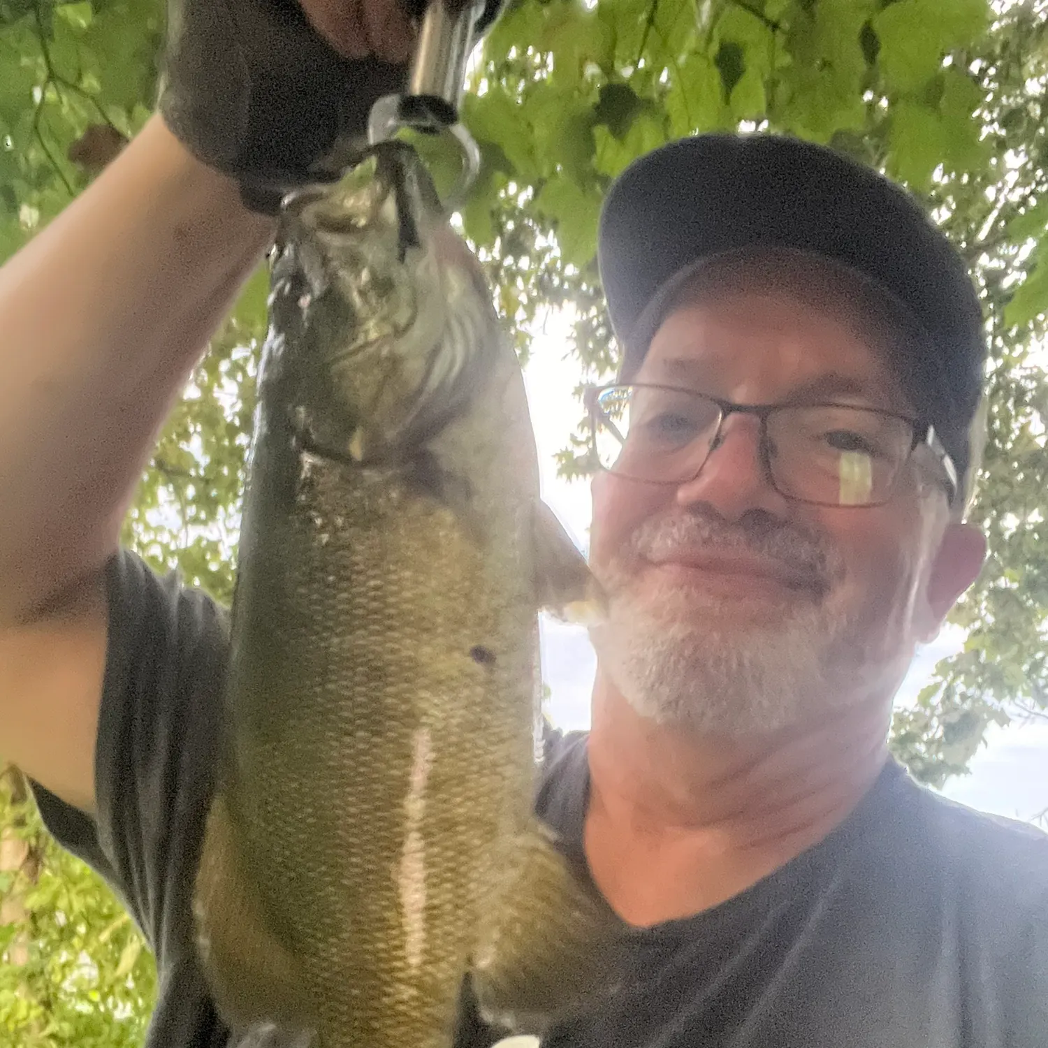 Smallmouth bass caught on Fishbrain