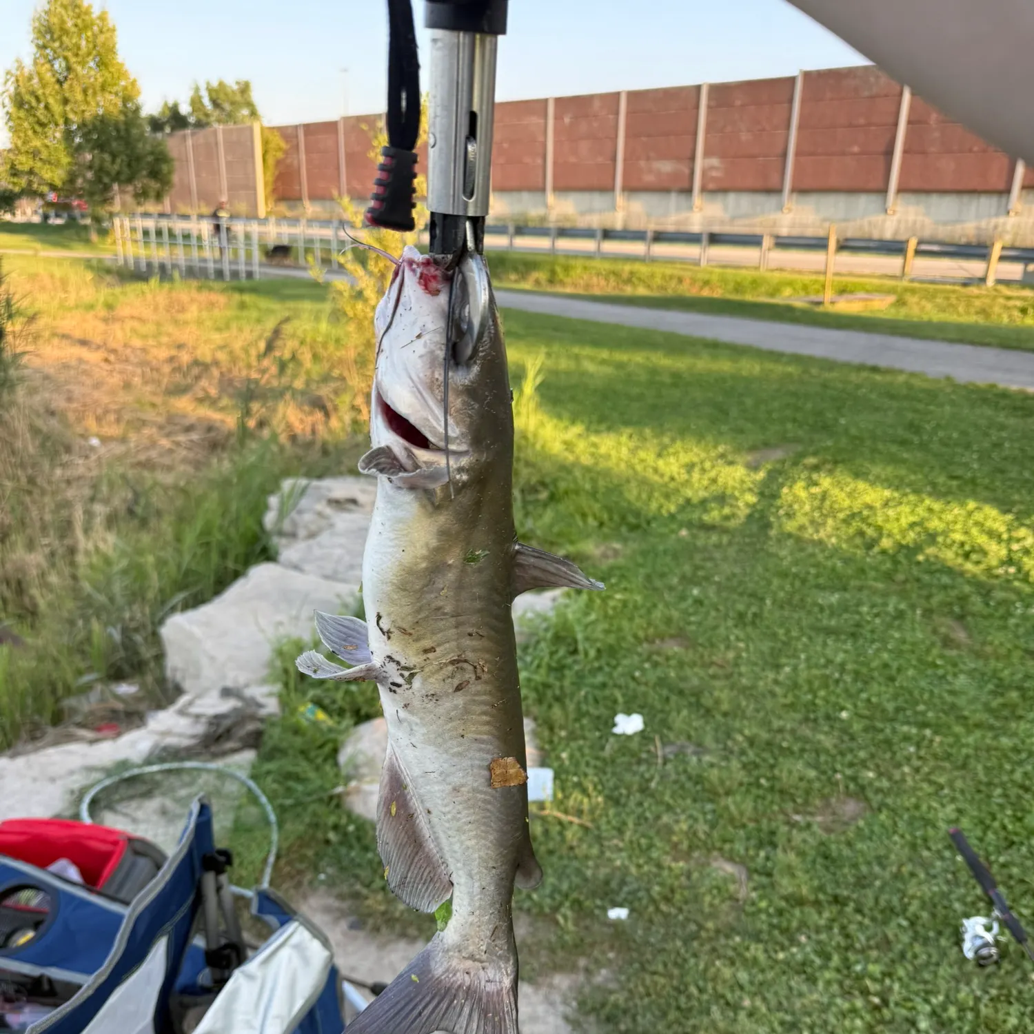 catch