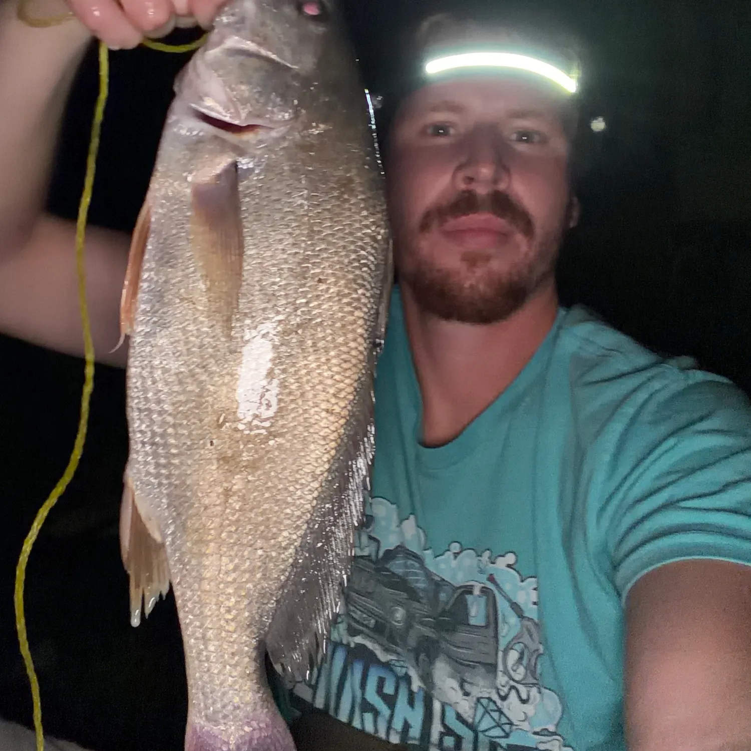 Freshwater drum caught on Fishbrain