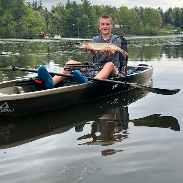 The most recent Northern pike catches on Fishbrain
