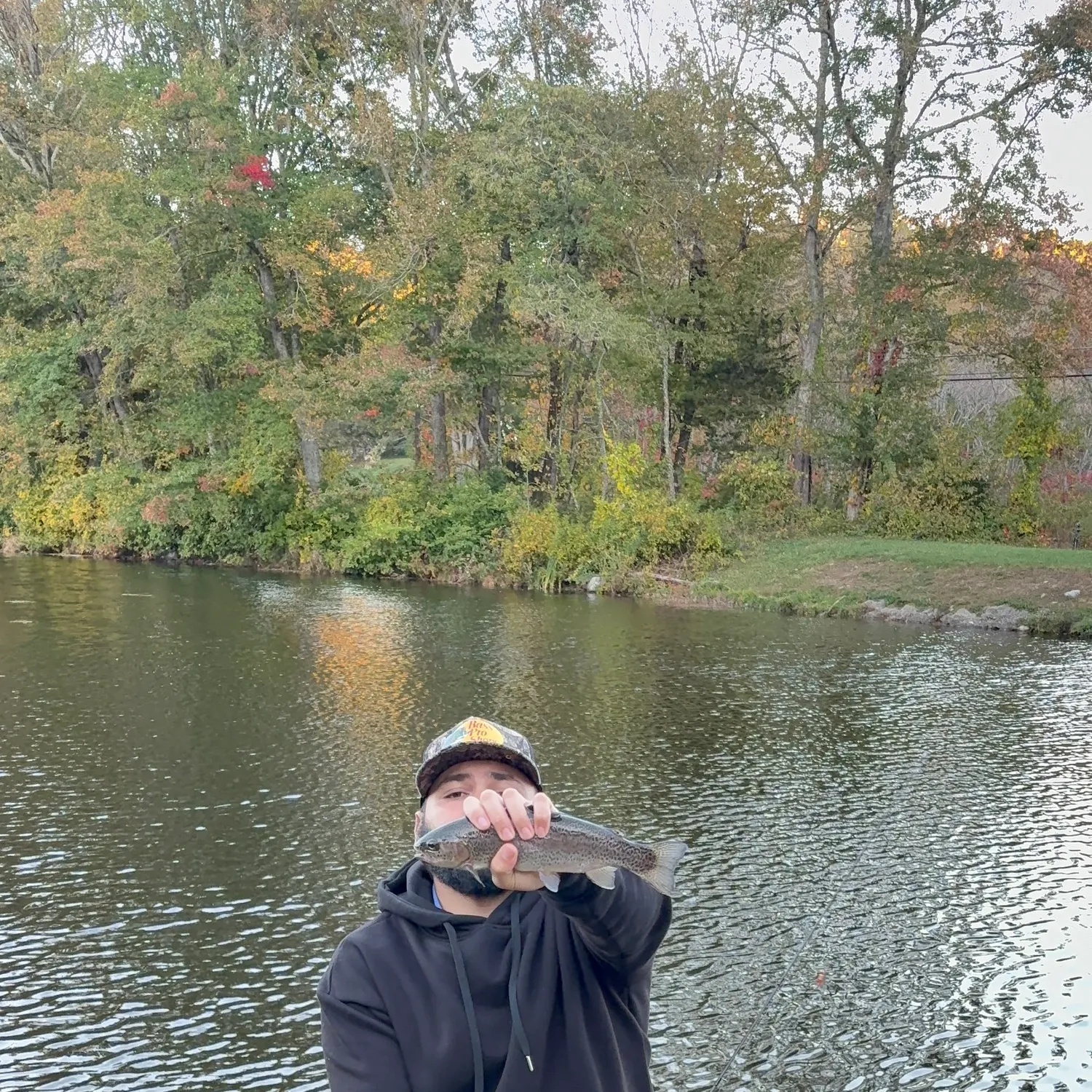 Sea trout caught on Fishbrain
