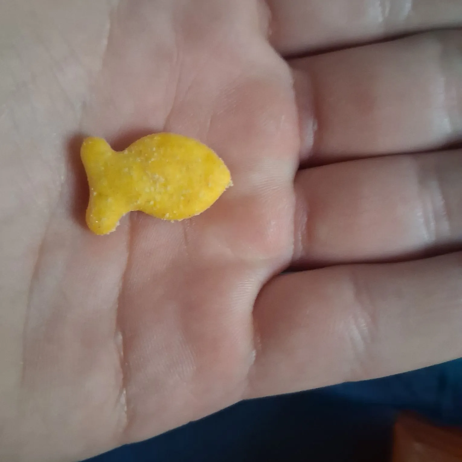 Goldfish caught on Fishbrain