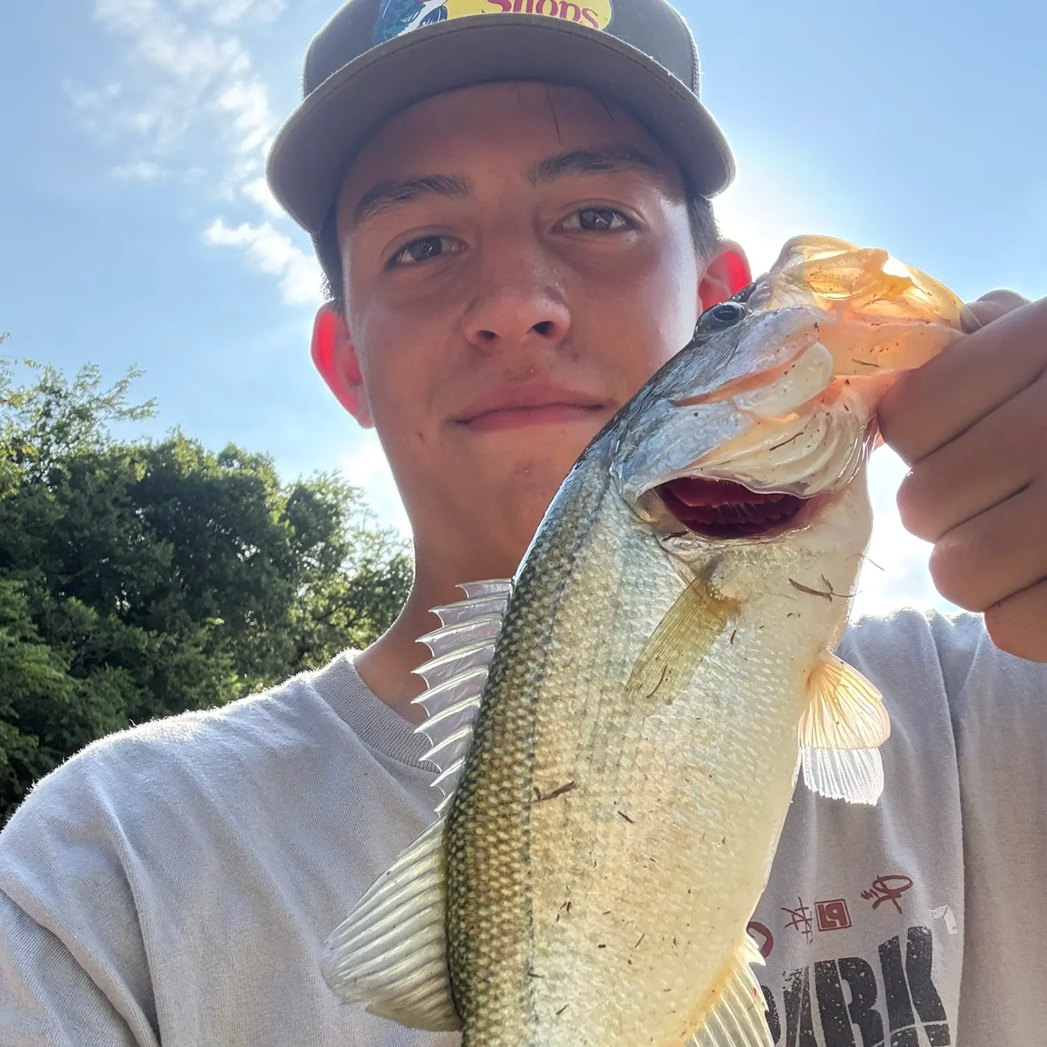 Largemouth bass caught on Fishbrain