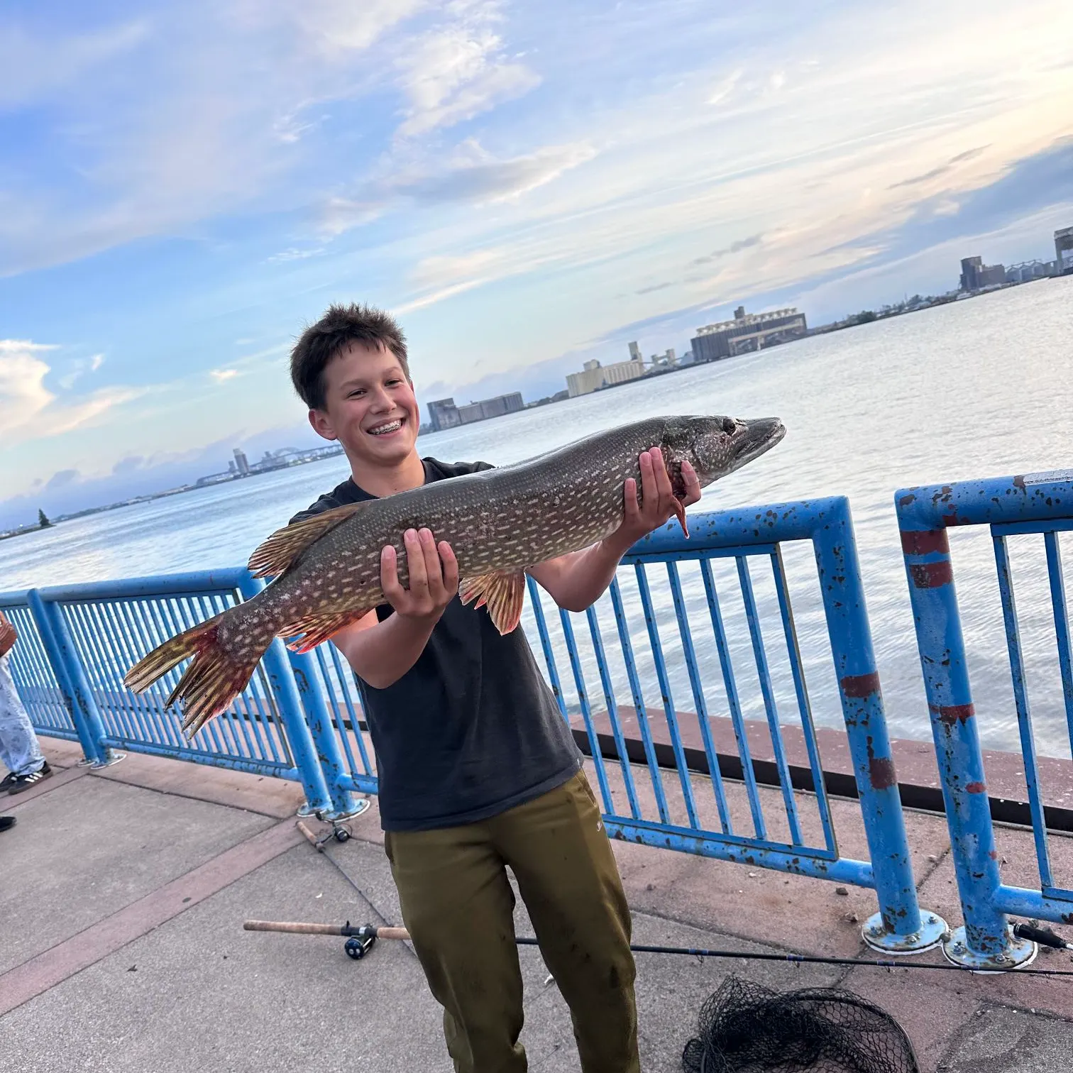 Northern pike caught on Fishbrain