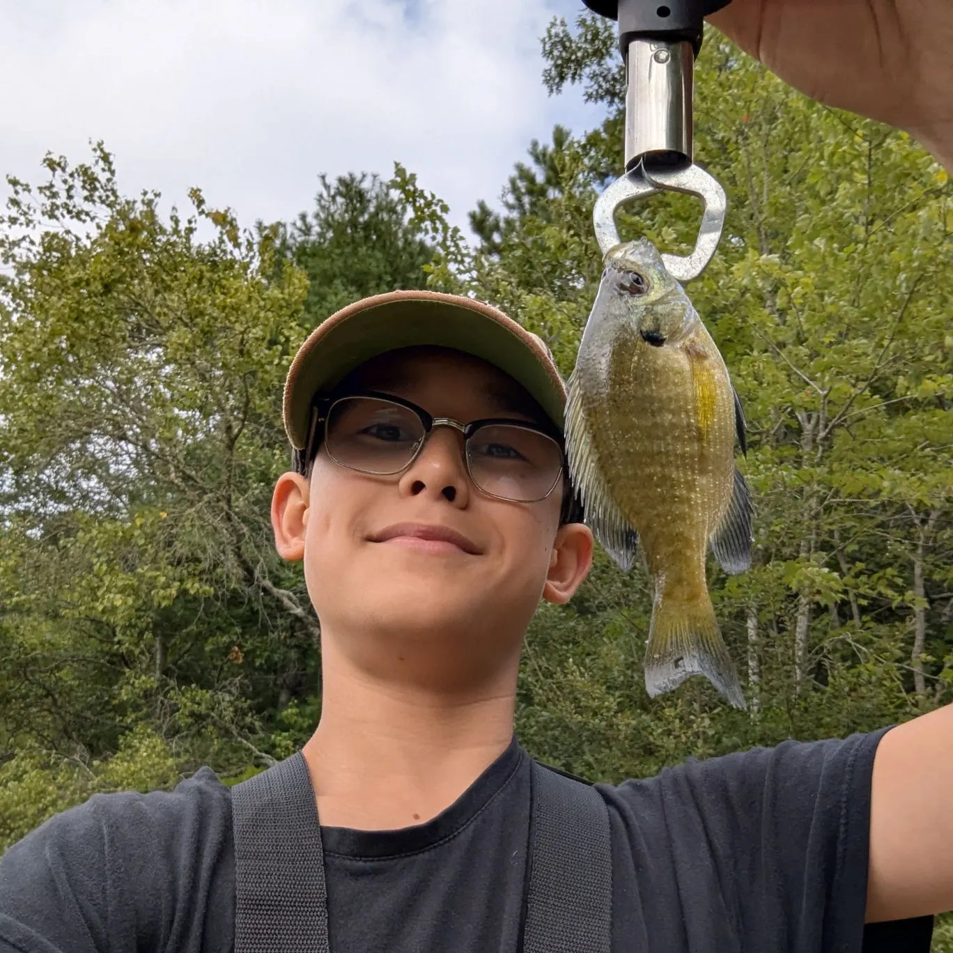 Bluegill caught on Fishbrain