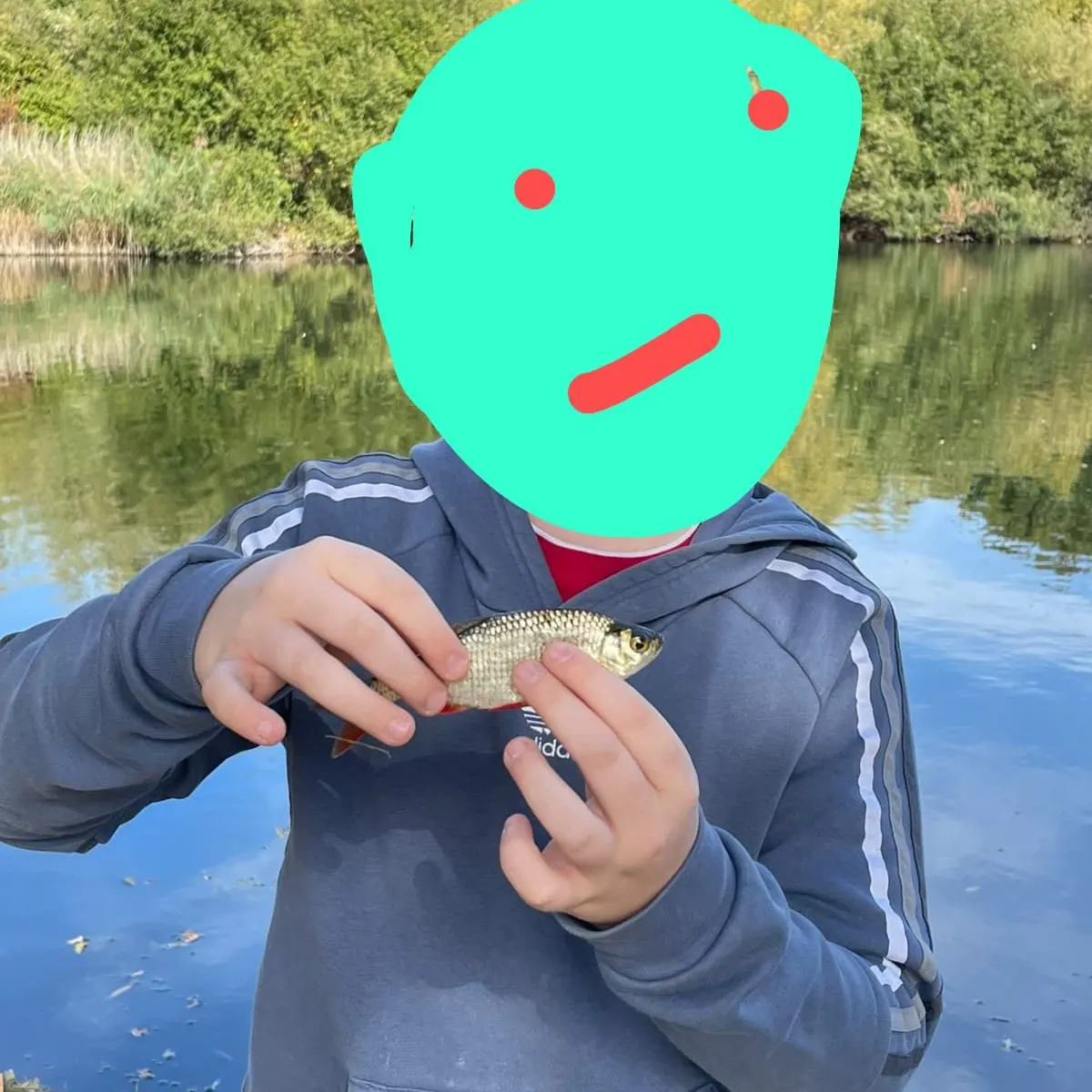 Common rudd caught on Fishbrain