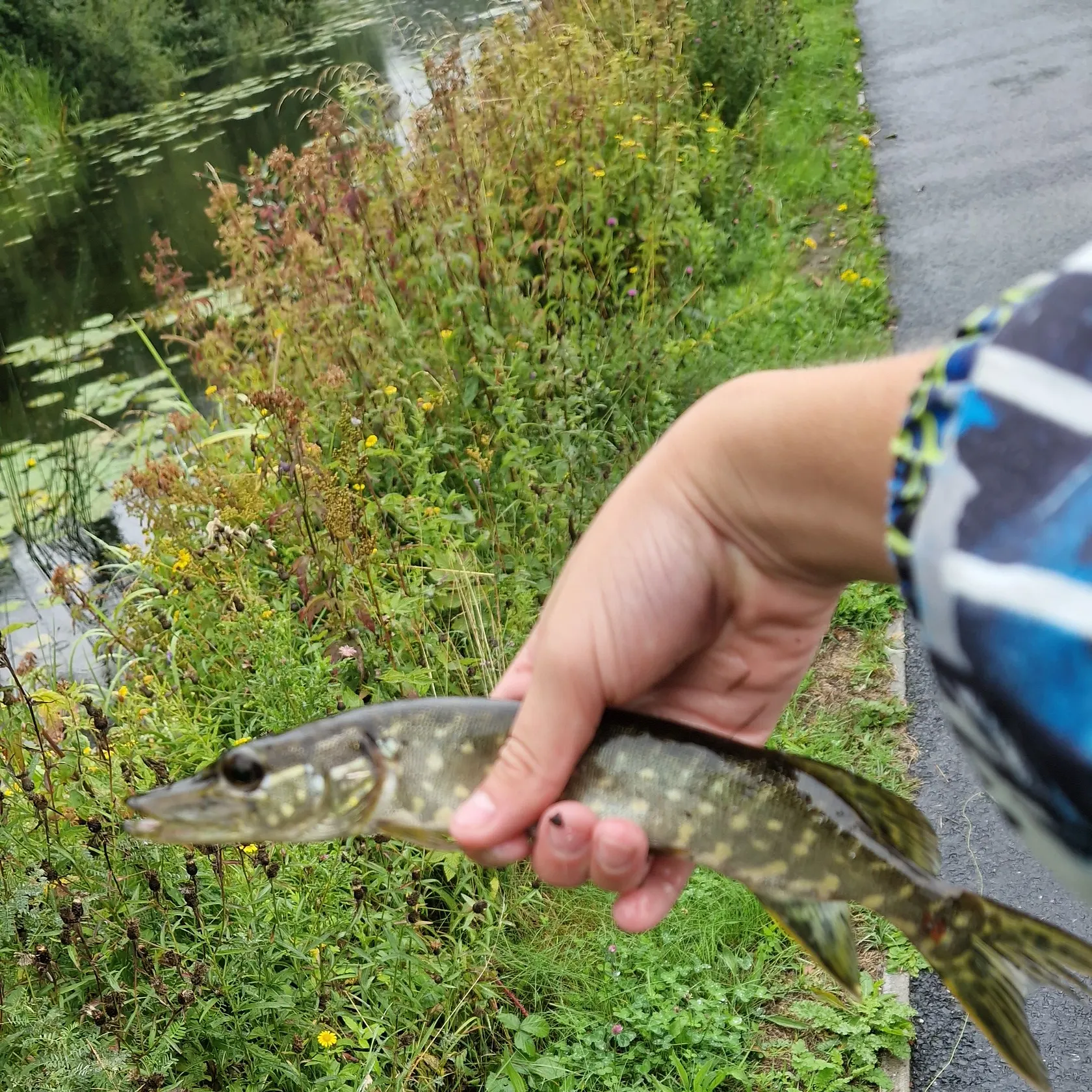 catch