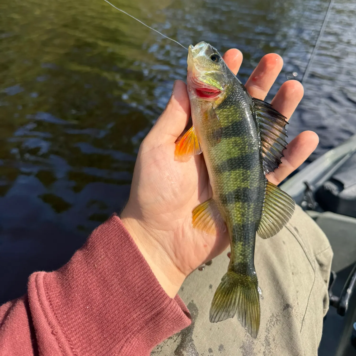 catch