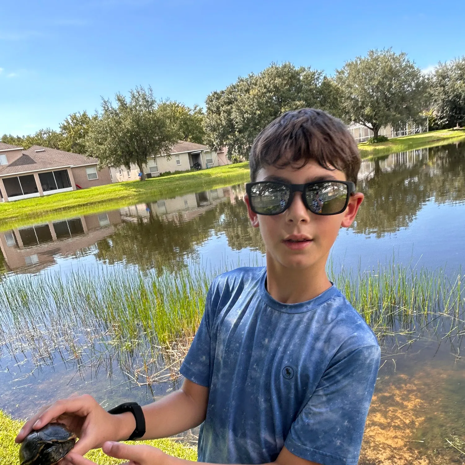 The most recent Florida softshell turtle catches on Fishbrain