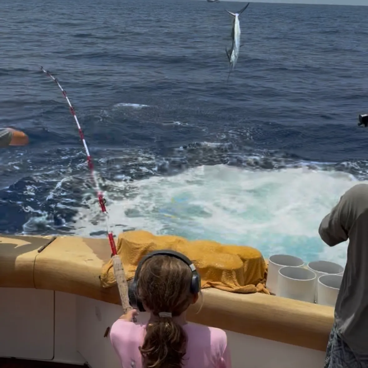 The most recent Atlantic white marlin catches on Fishbrain