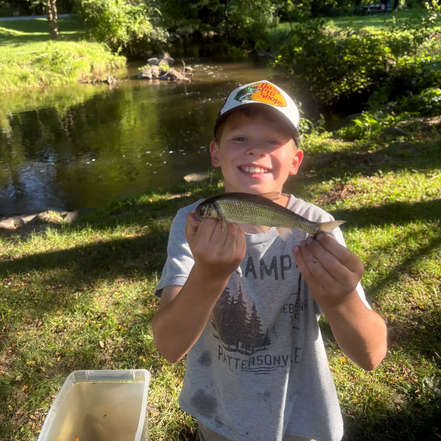 Fallfish caught on Fishbrain