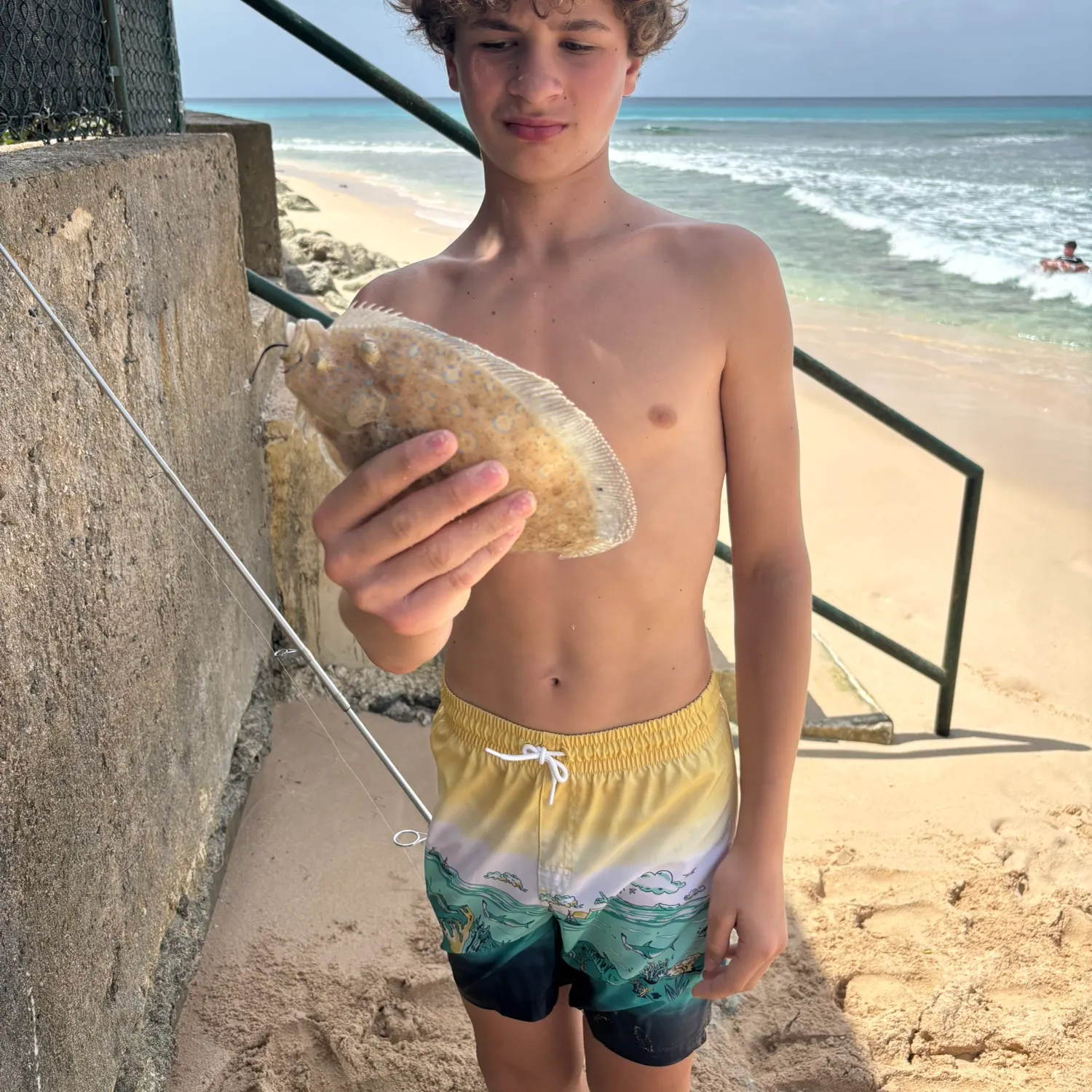 The most recent Oval flounder catches on Fishbrain