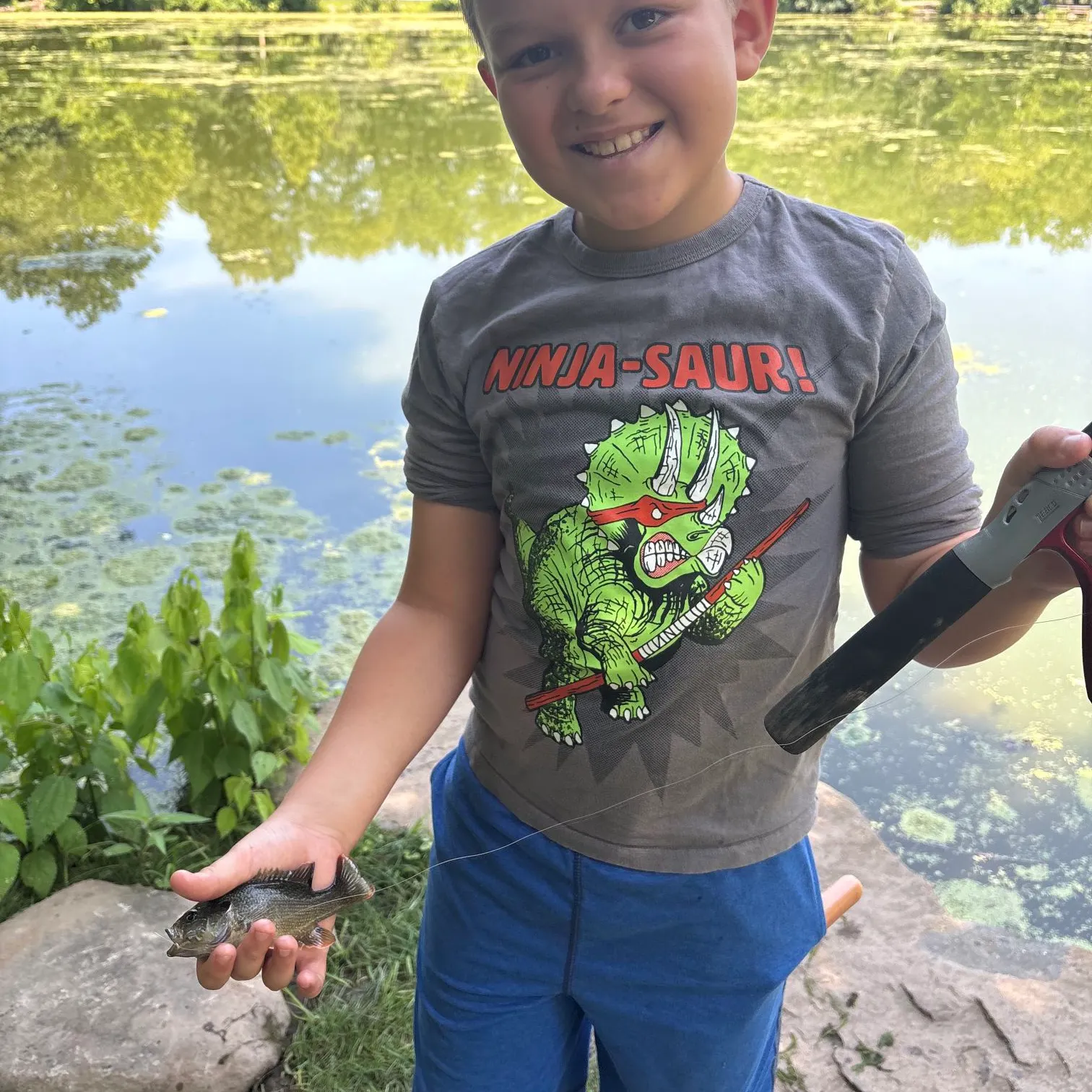 Bluegill caught on Fishbrain