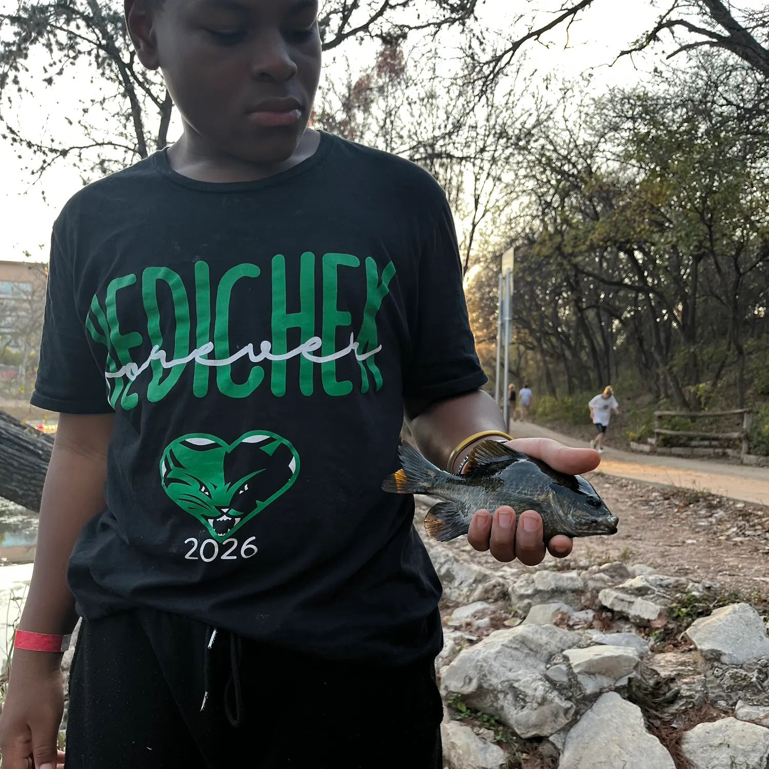 The most recent Green sunfish catches on Fishbrain