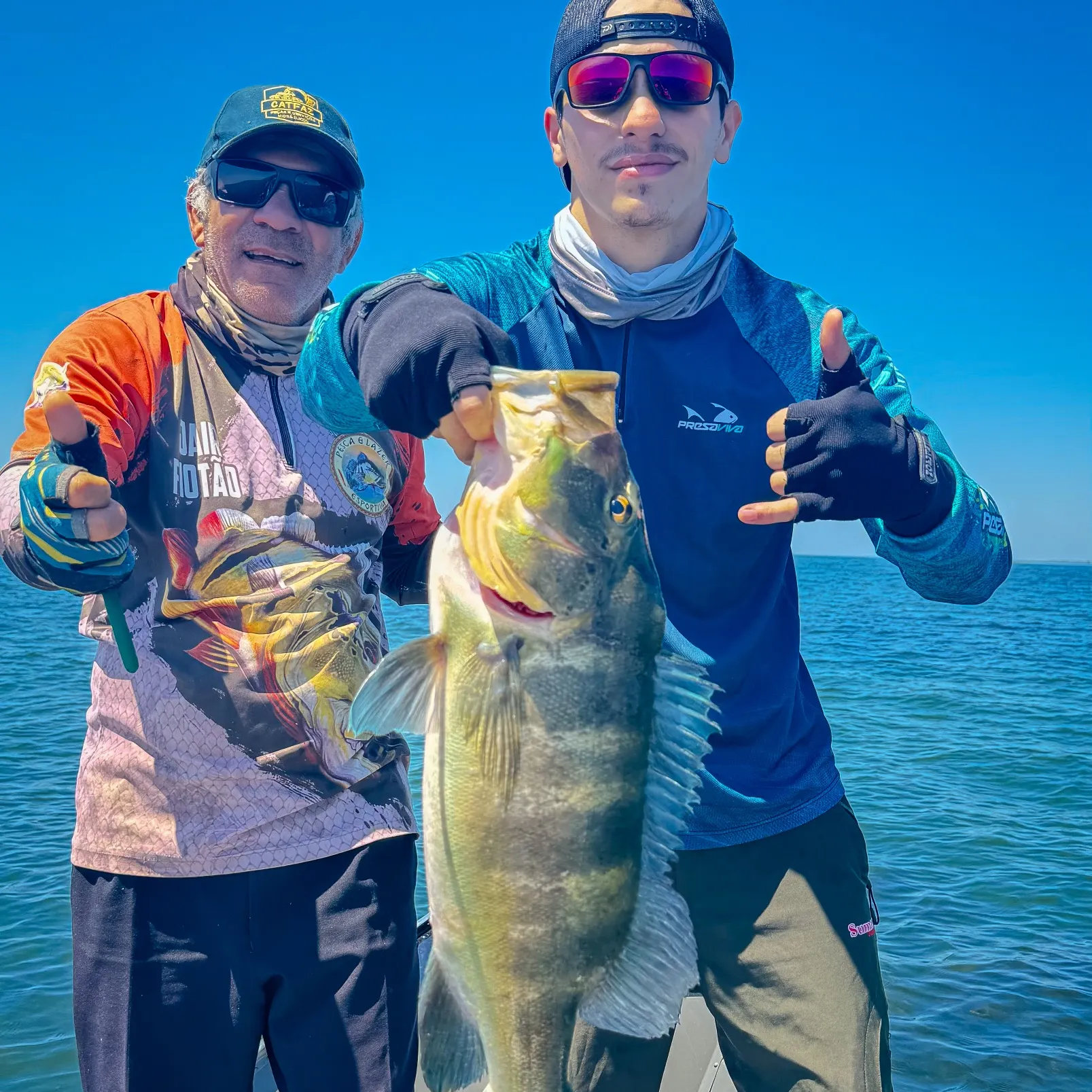 The most recent Blue peacock bass catches on Fishbrain