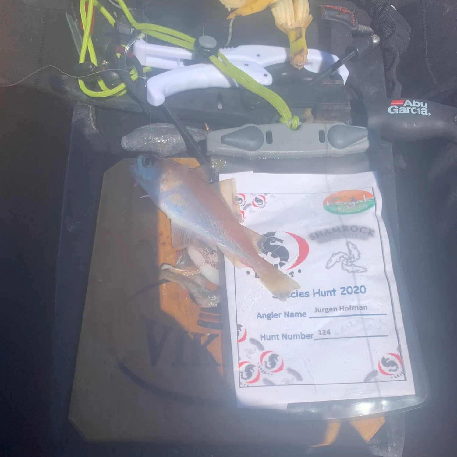 recently logged catches