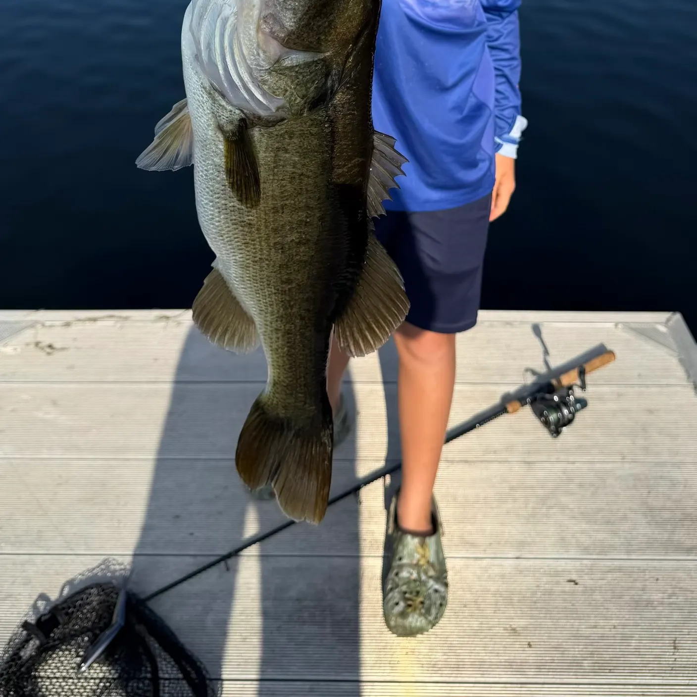 Florida bass caught on Fishbrain