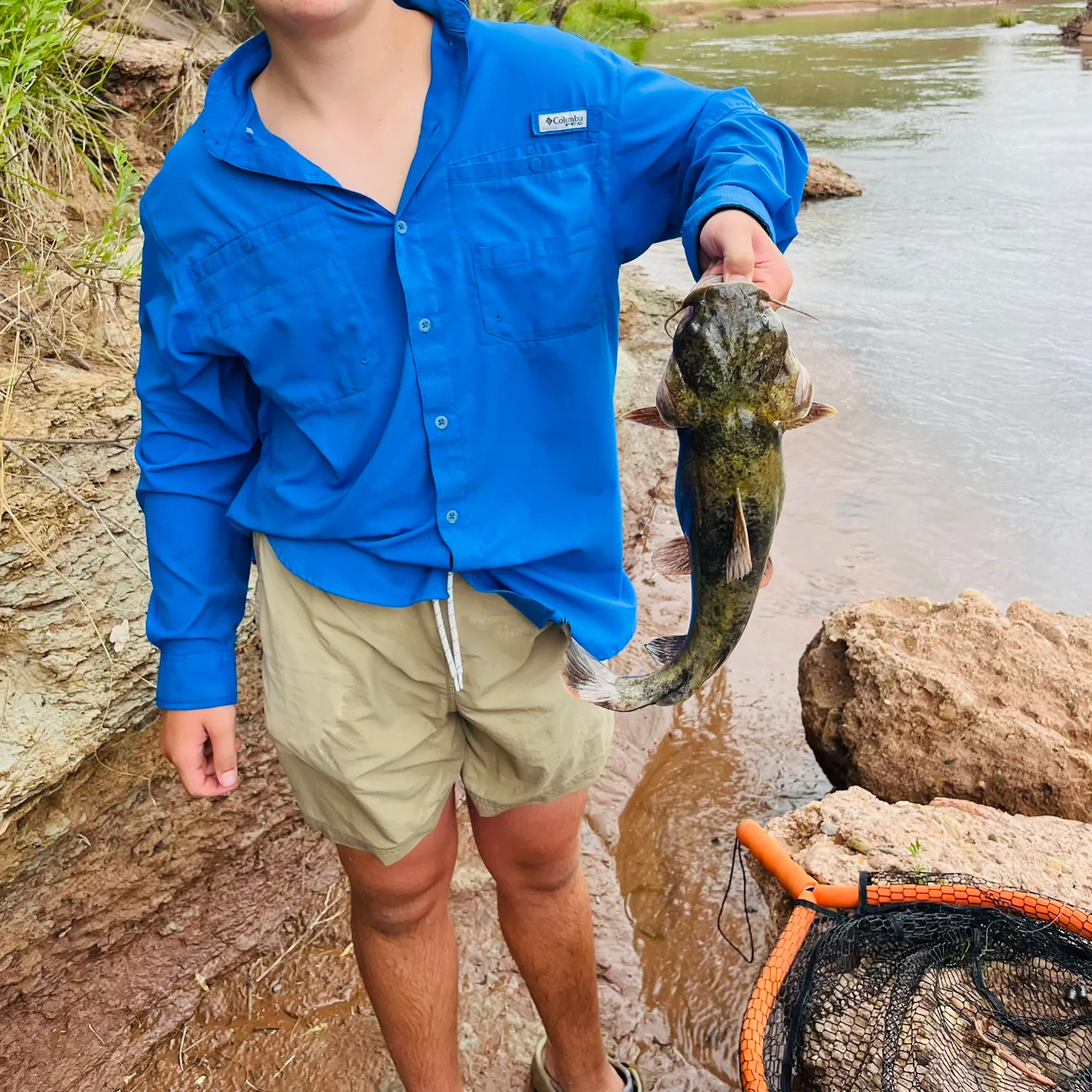 The most recent Flathead catfish catches on Fishbrain