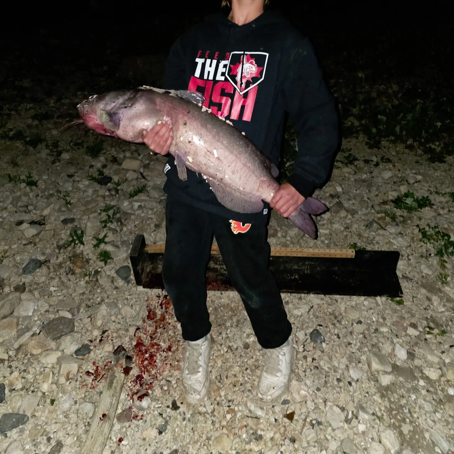 Channel catfish caught on Fishbrain