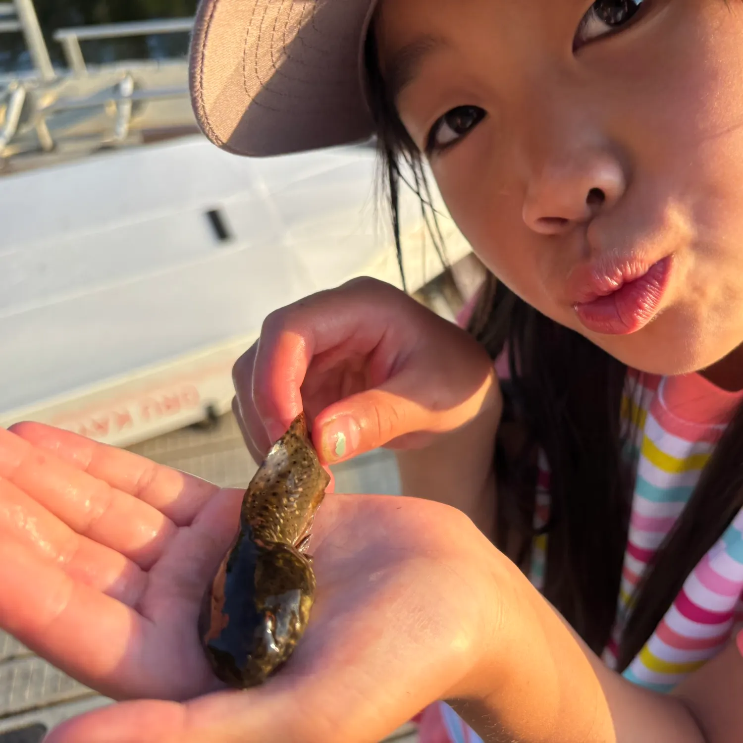 The most recent Tadpole fish catches on Fishbrain