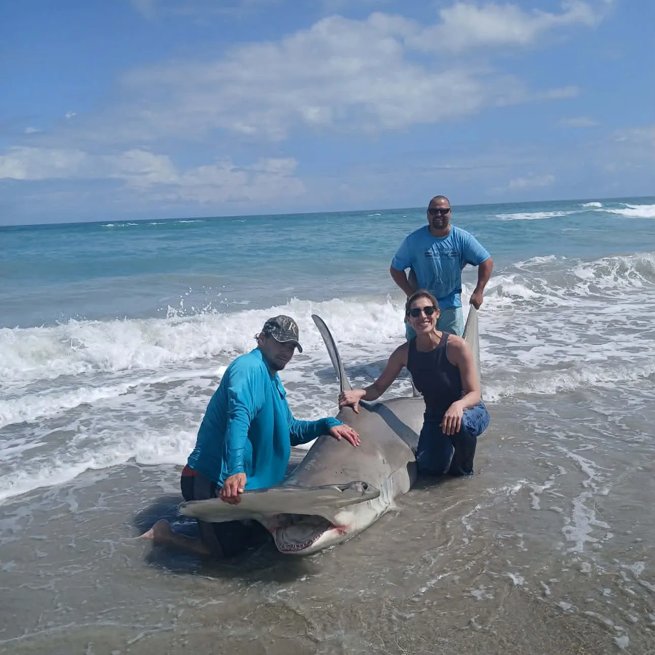 The most recent Great hammerhead shark catches on Fishbrain