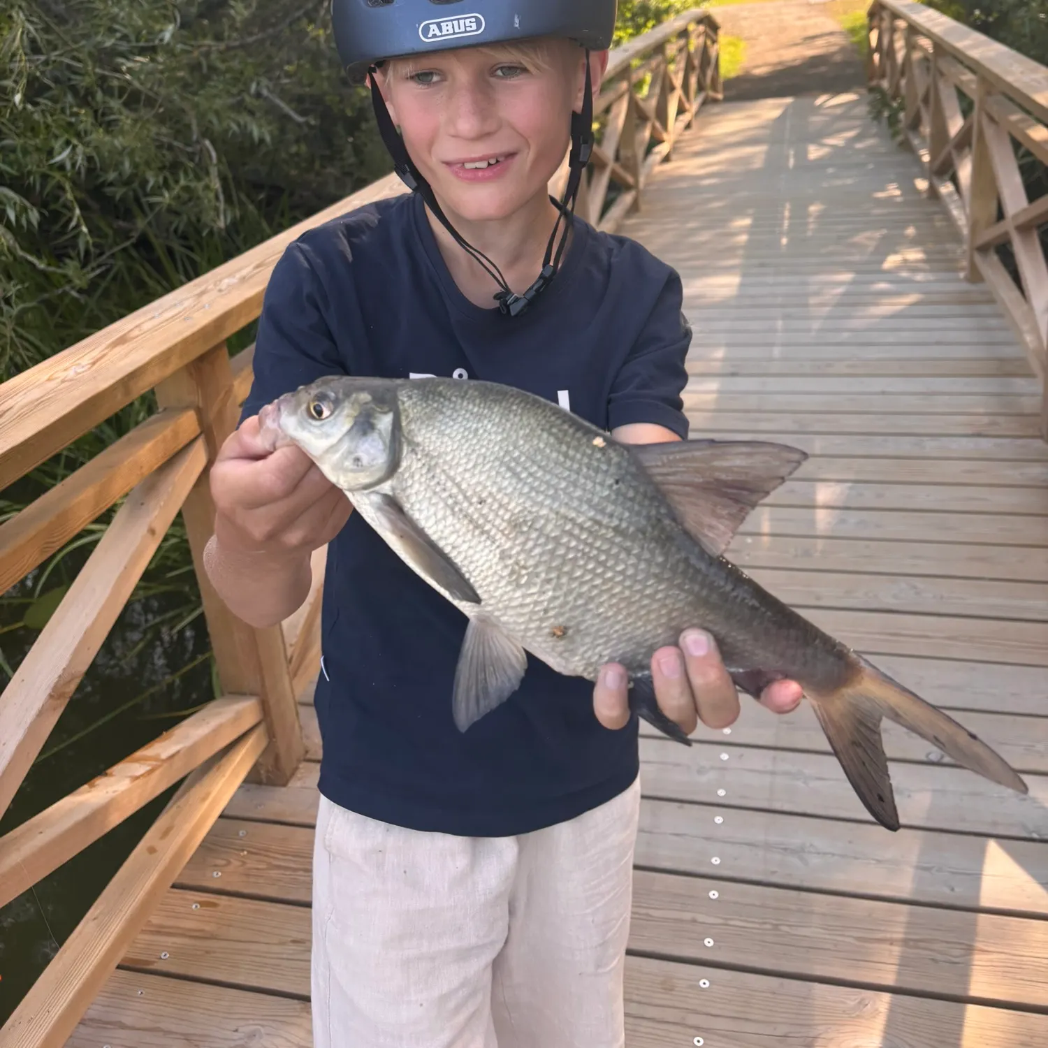 Common bream caught on Fishbrain