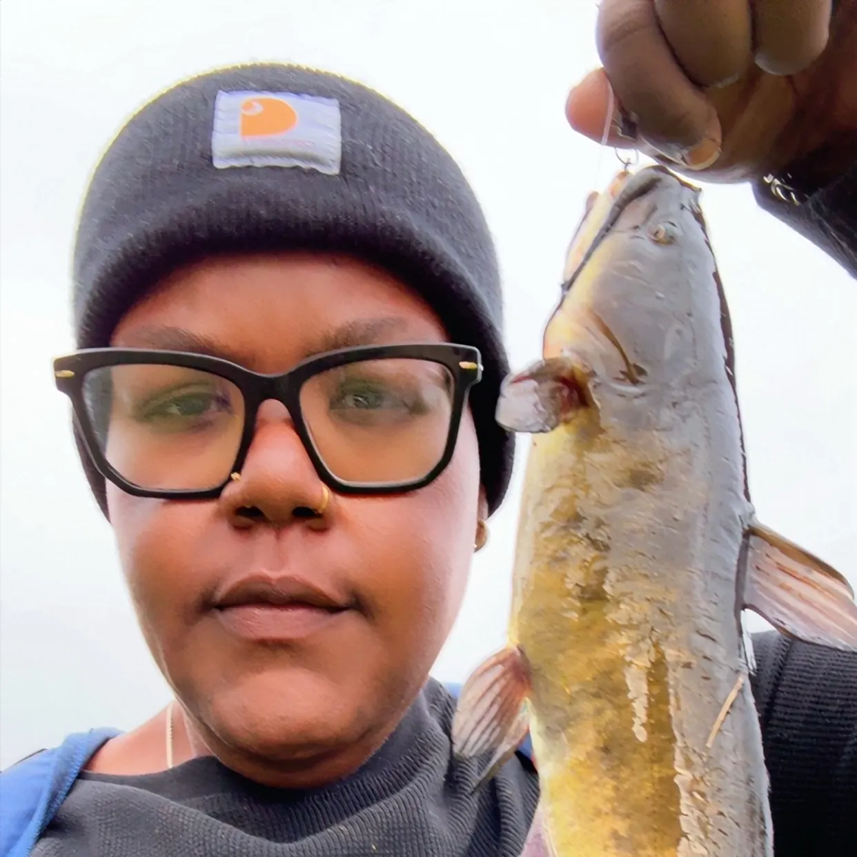 Black bullhead caught on Fishbrain