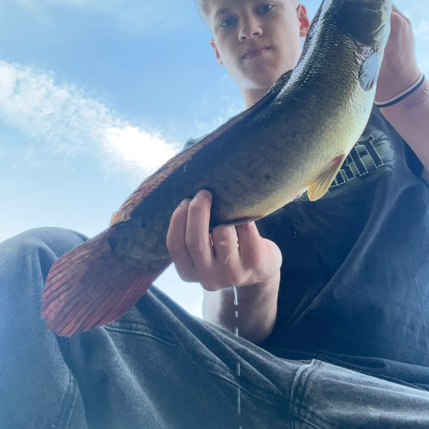 Eyetail bowfin caught on Fishbrain