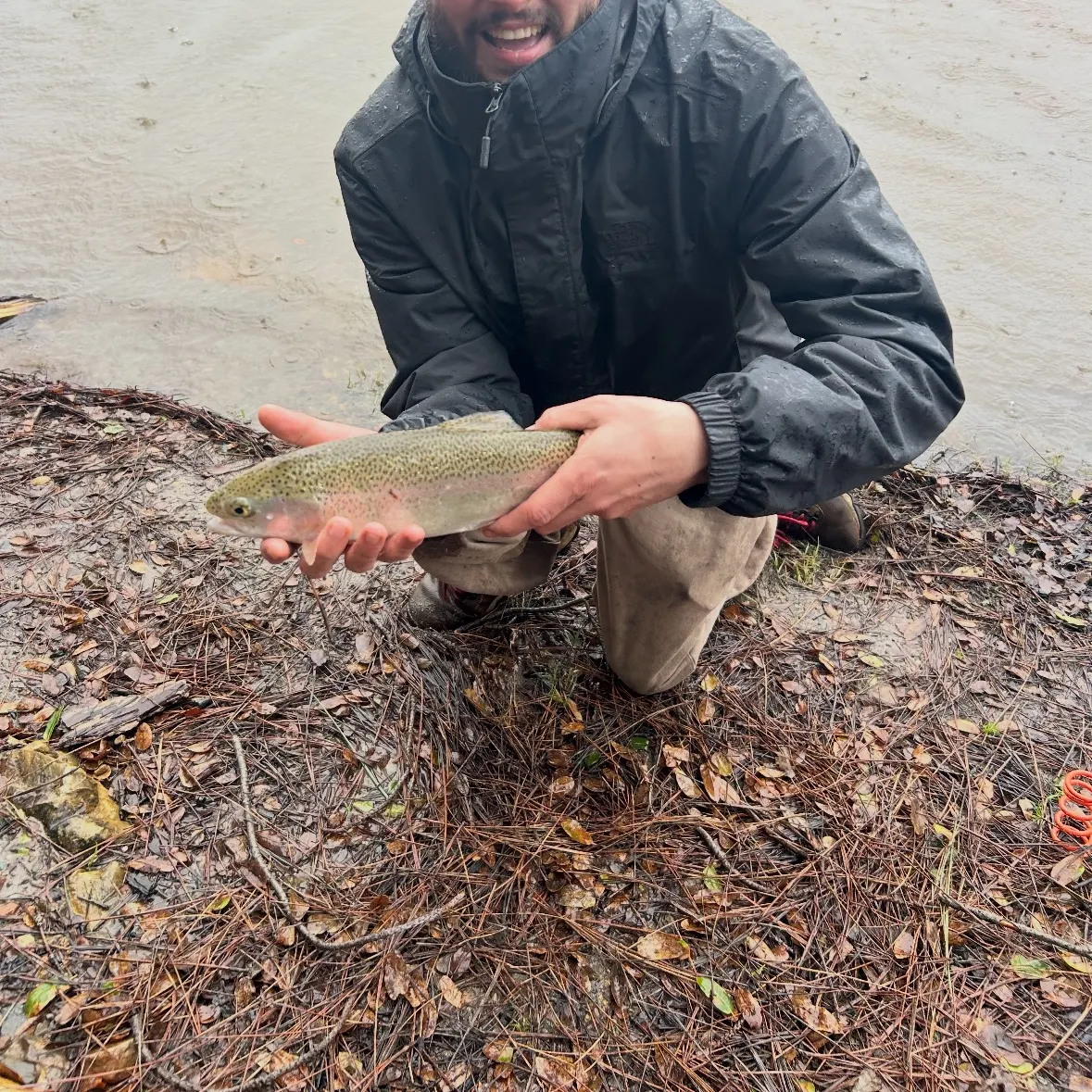 The most recent Rainbow trout catches on Fishbrain