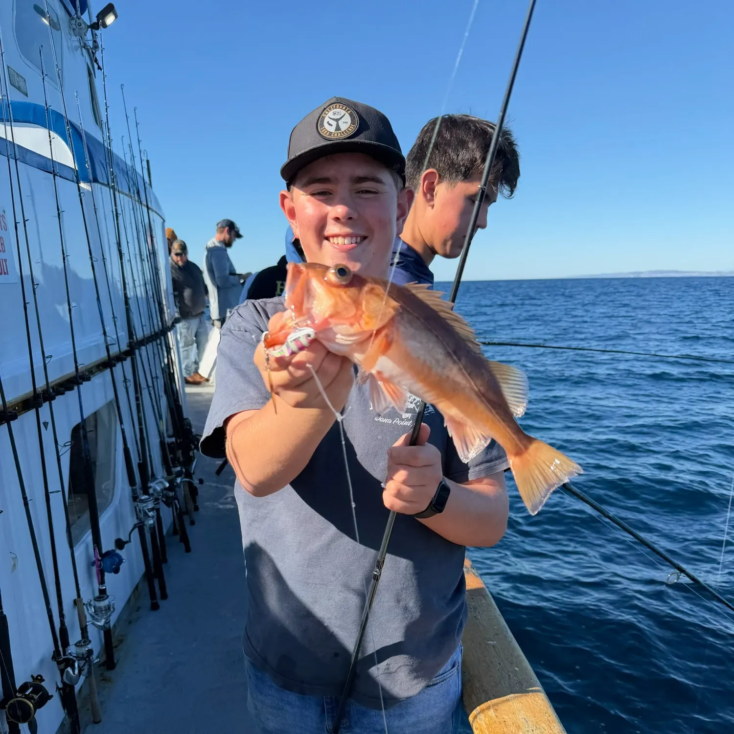 The most recent Bocaccio rockfish catches on Fishbrain