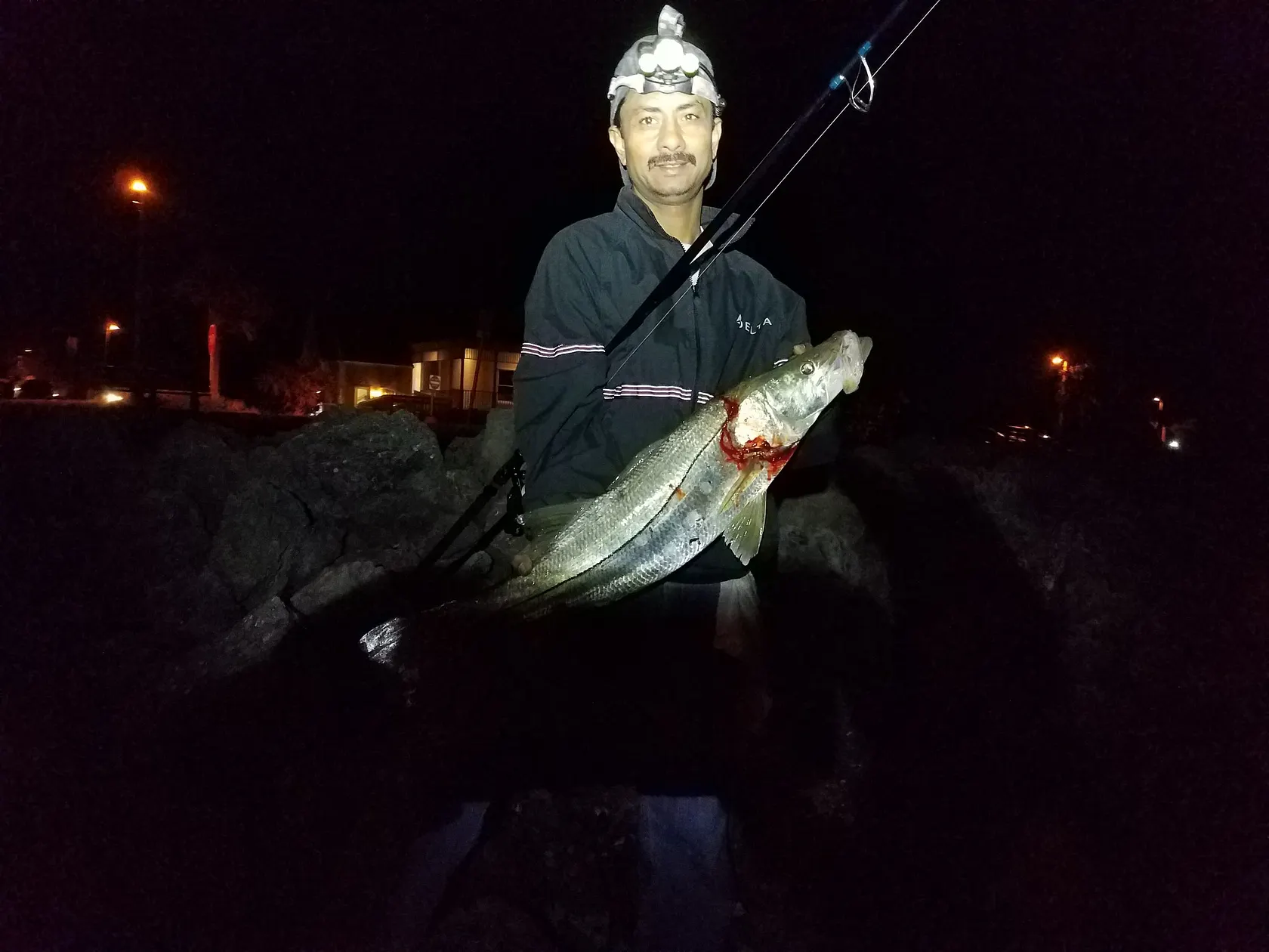 Post image from S_Ahmed