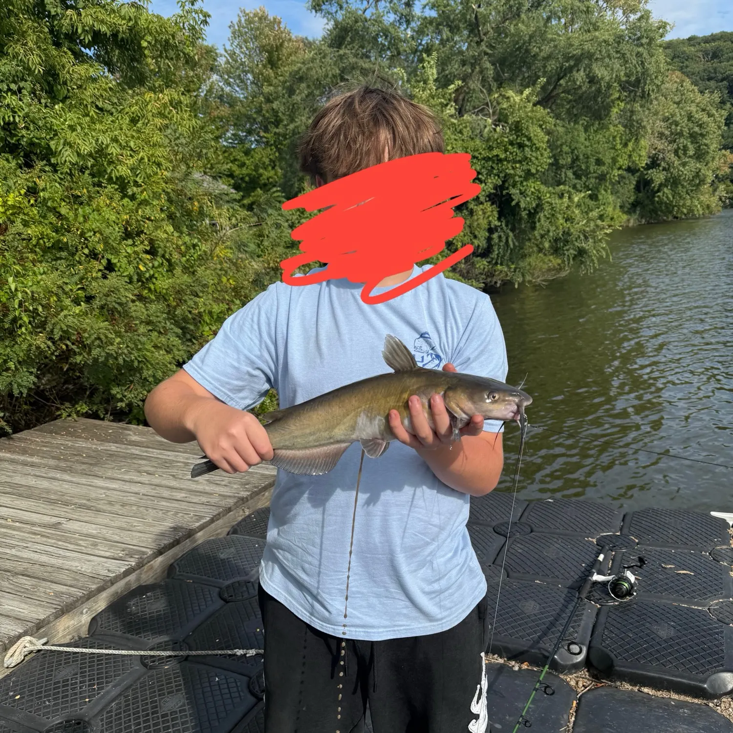 Channel catfish caught on Fishbrain