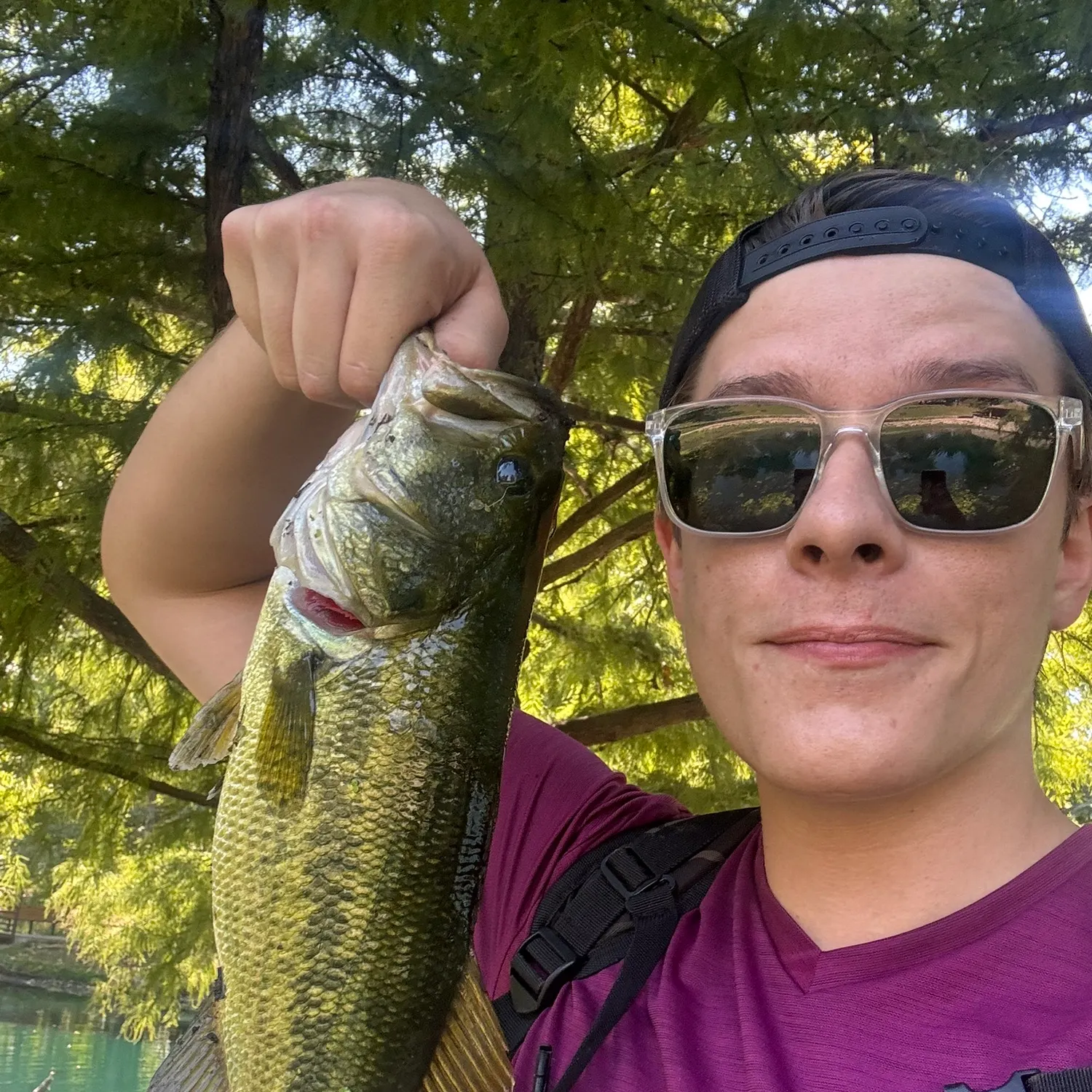 Largemouth bass caught on Fishbrain