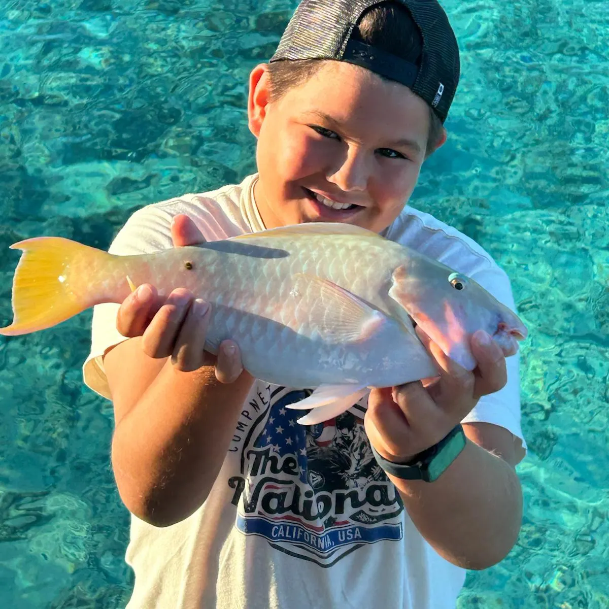 The most recent Queen parrotfish catches on Fishbrain