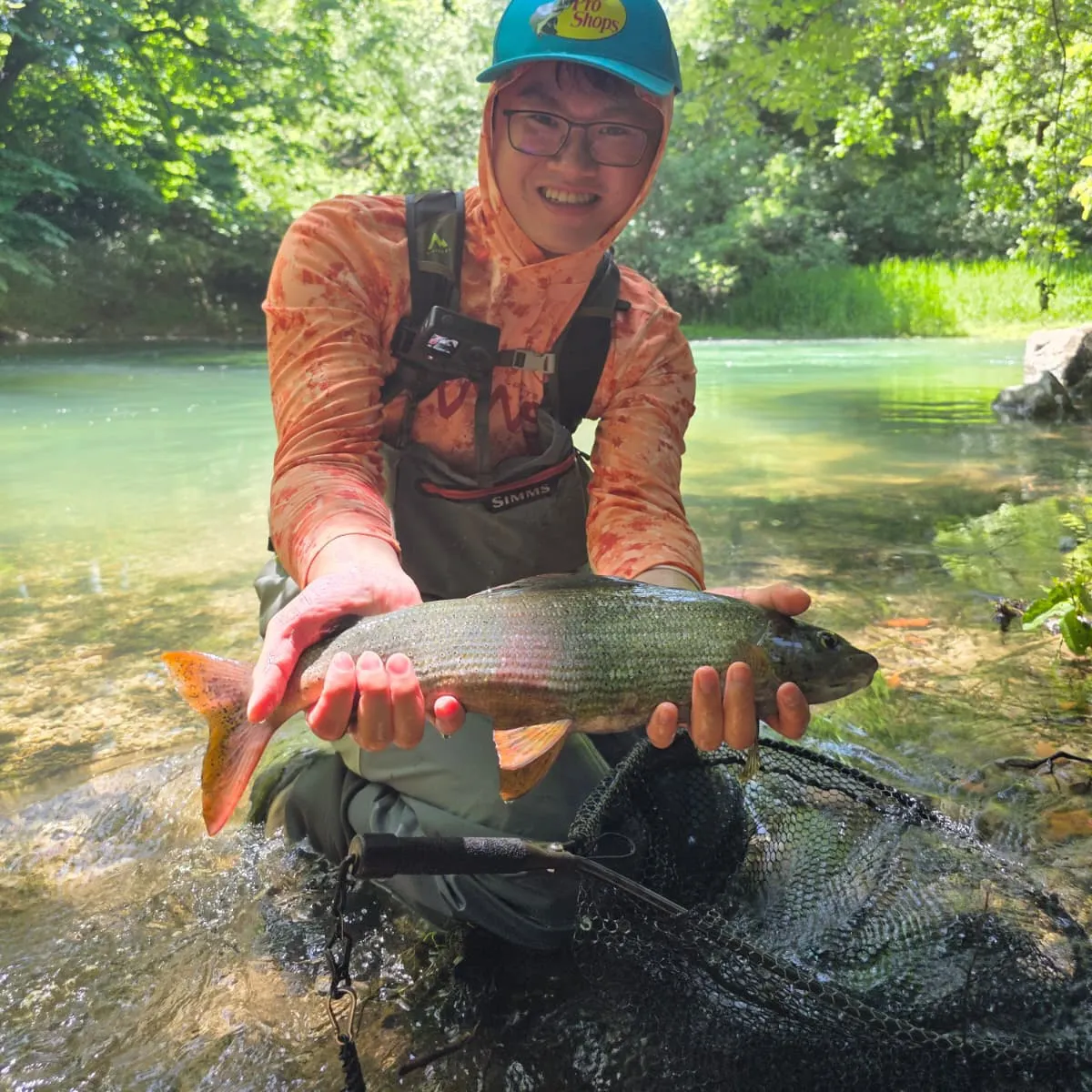 The most recent European grayling catches on Fishbrain