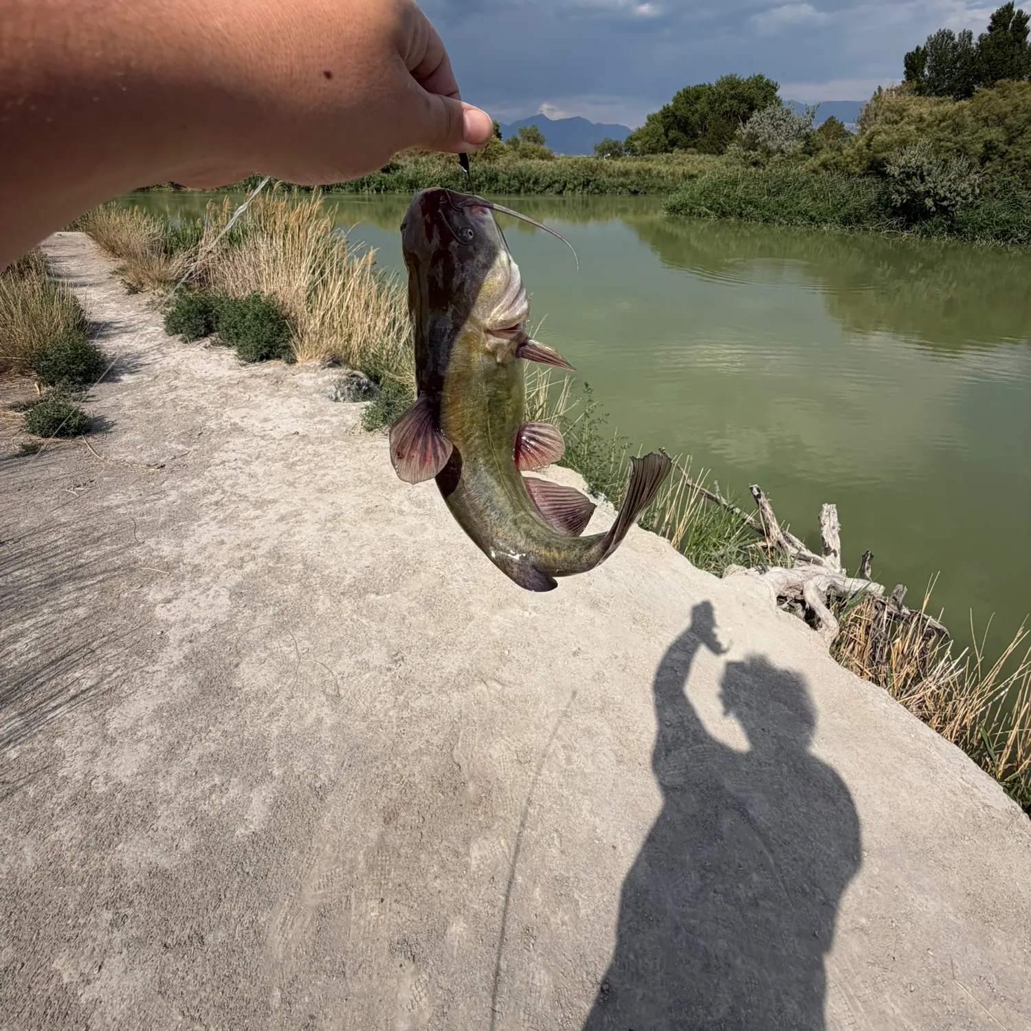 catch