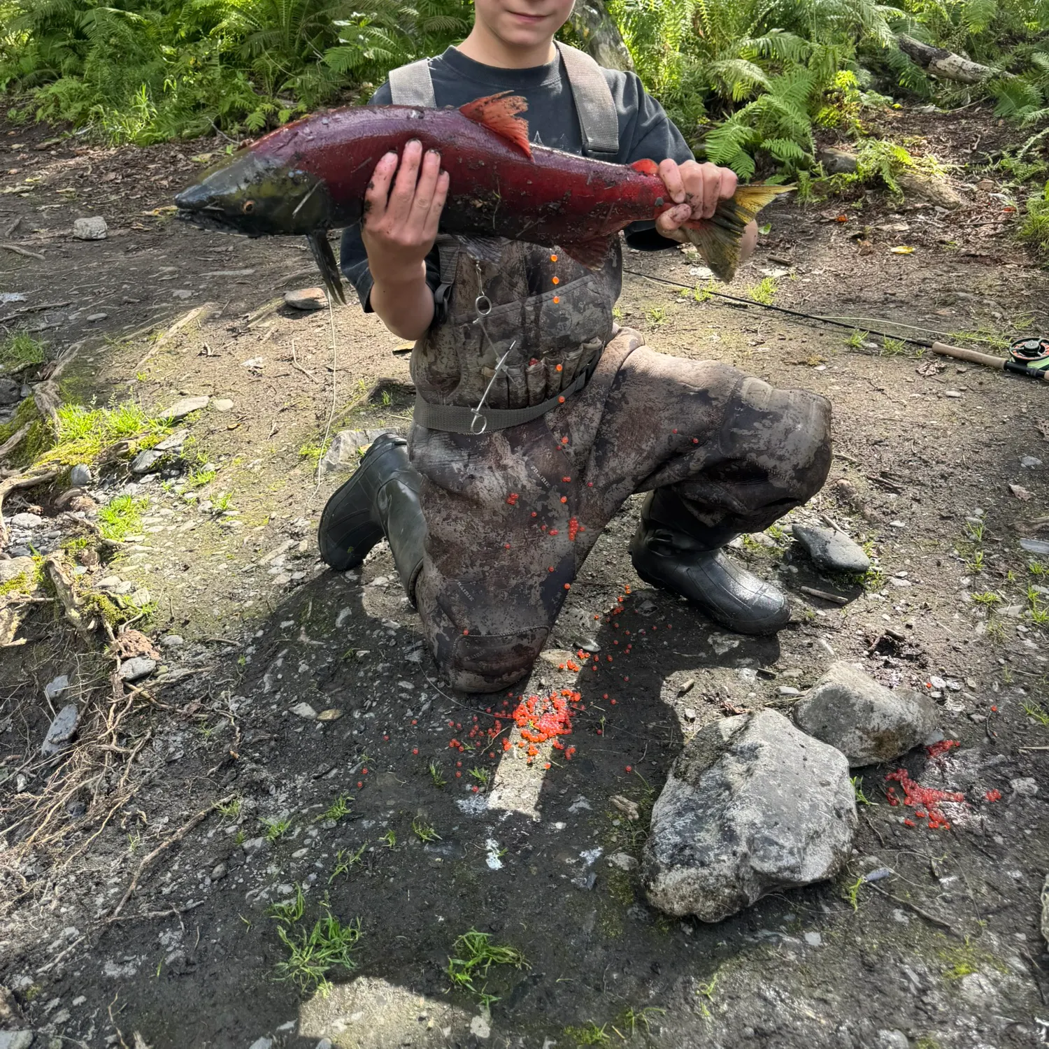 Sockeye salmon caught on Fishbrain