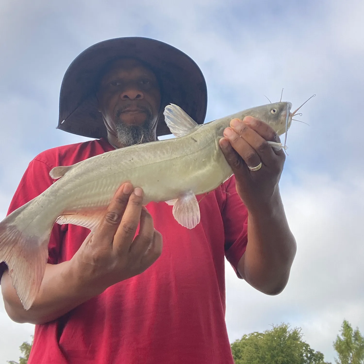 Channel catfish caught on Fishbrain