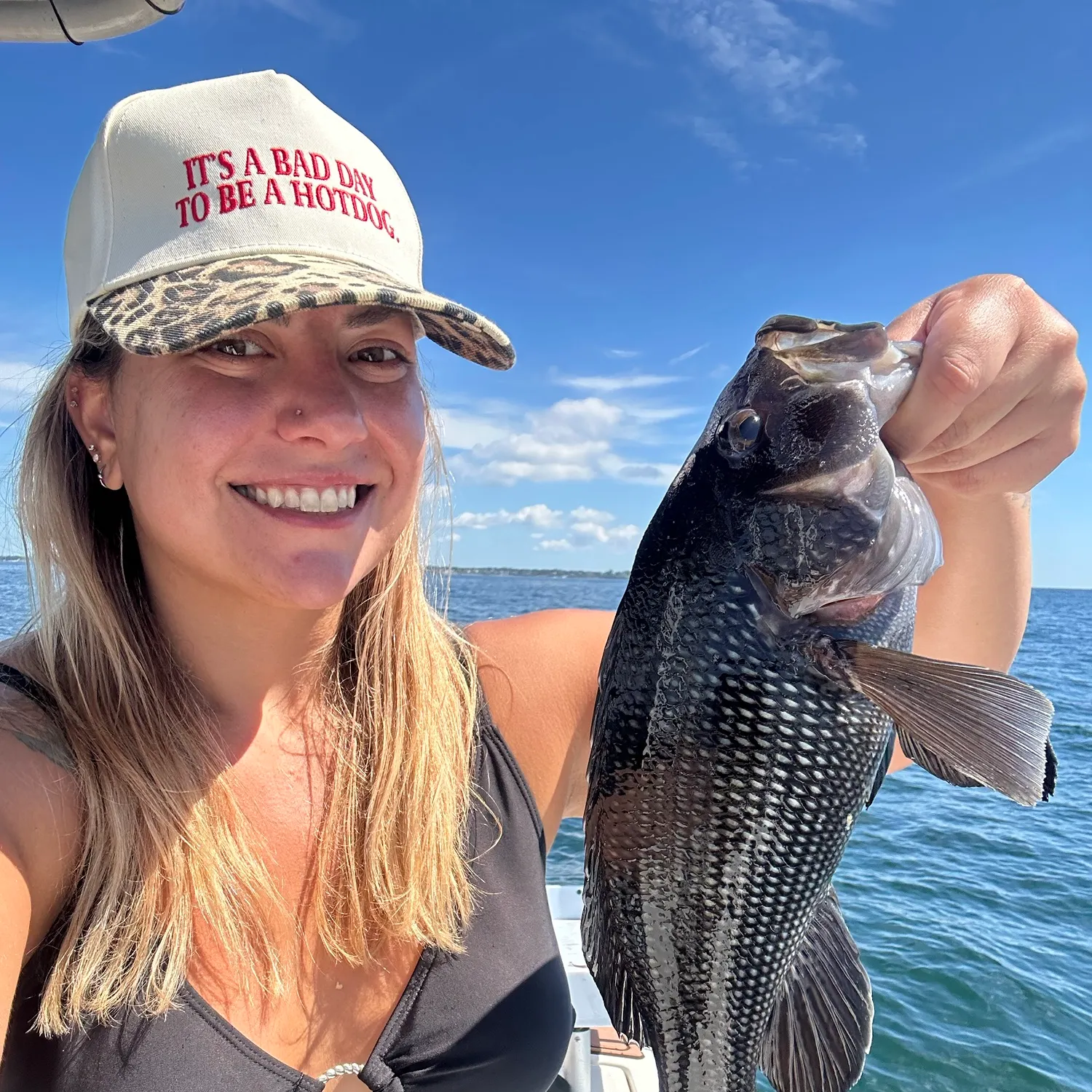 Black sea bass caught on Fishbrain