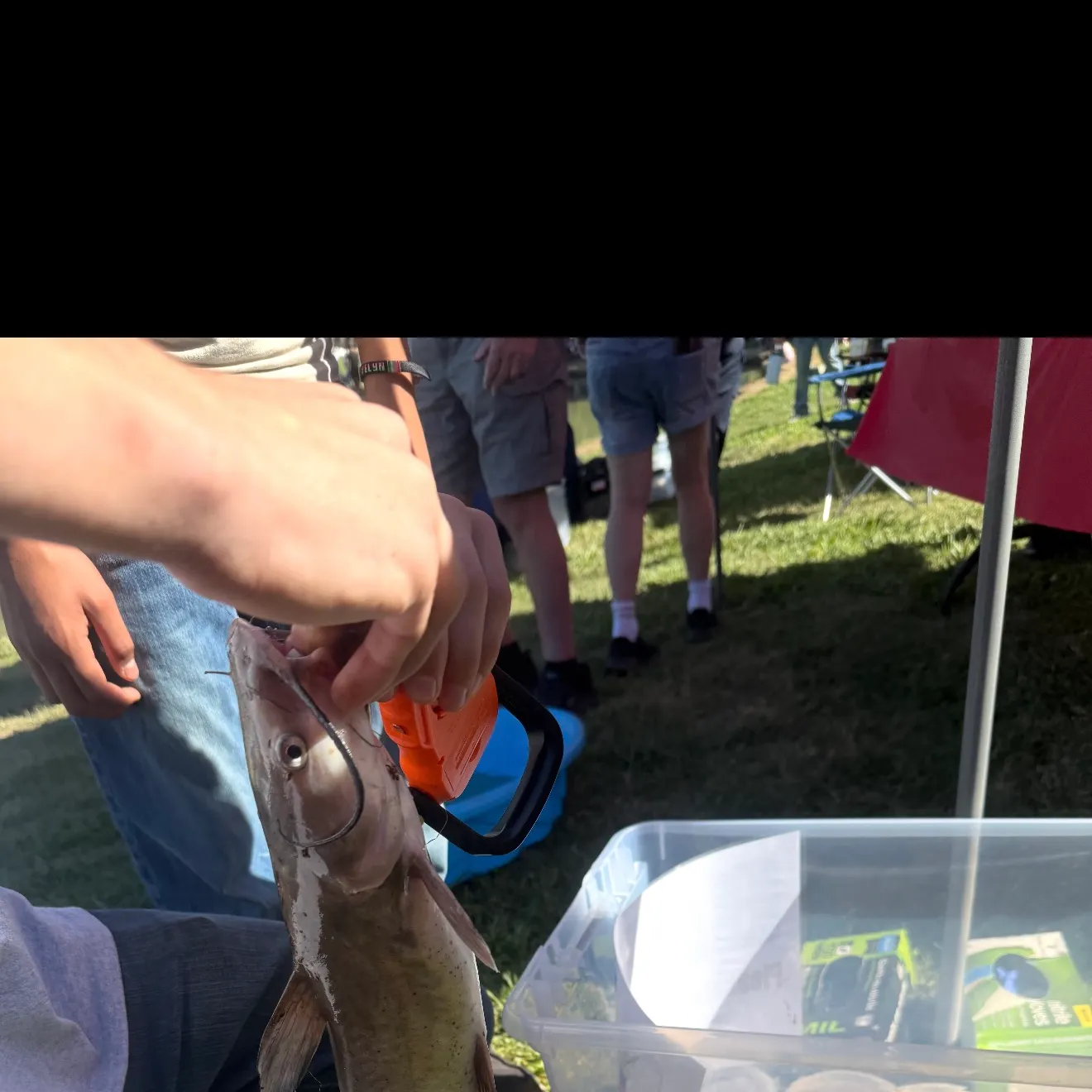 catch