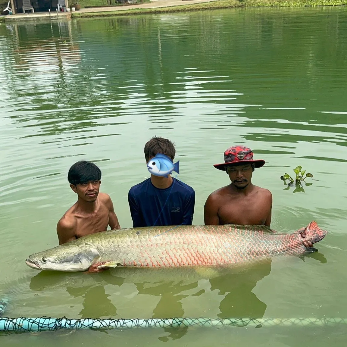 The most recent Arapaima catches on Fishbrain