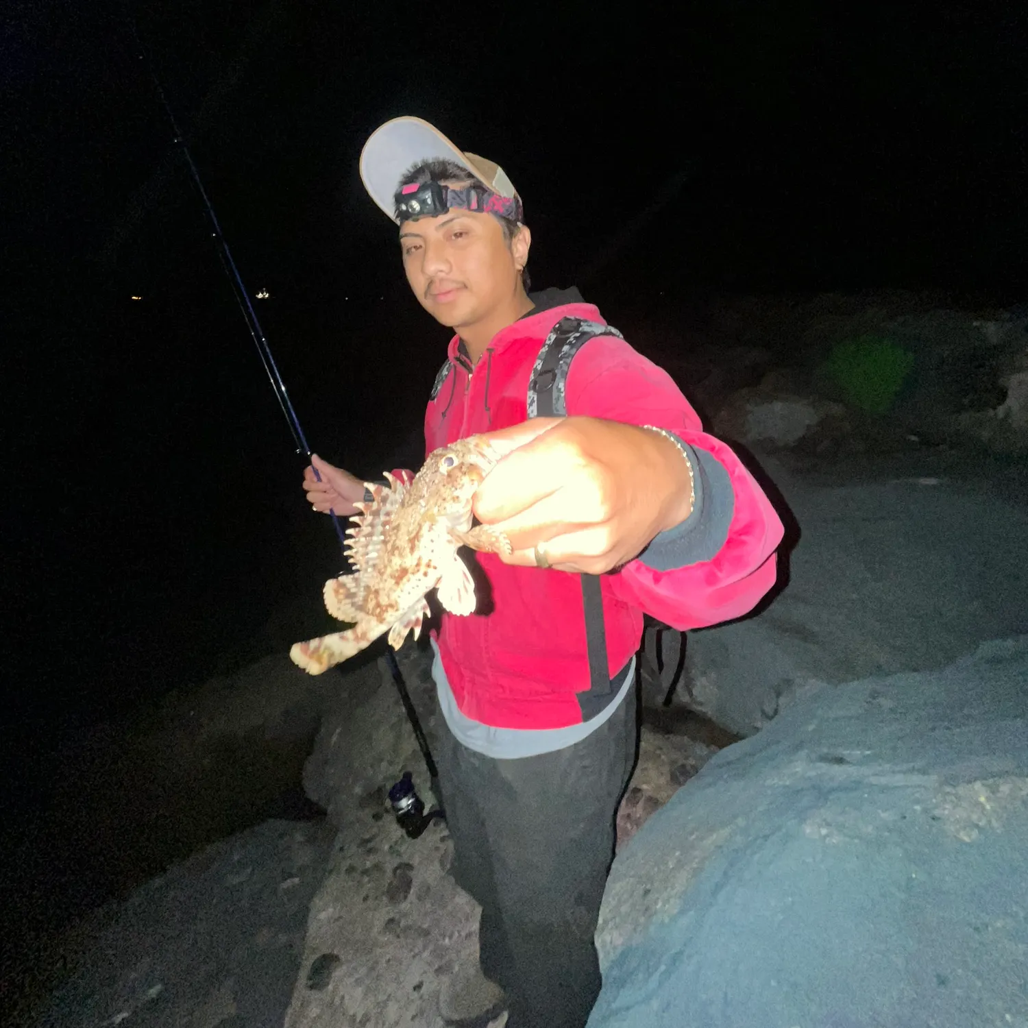 The most recent California scorpionfish catches on Fishbrain