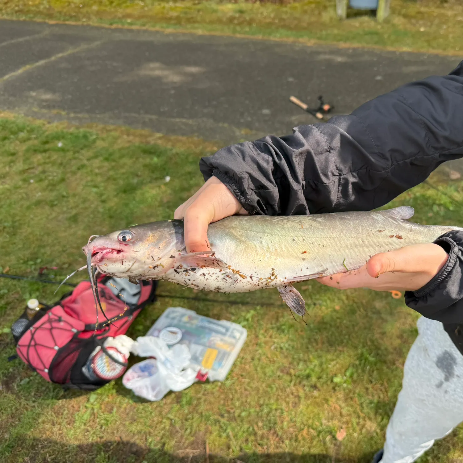 catch