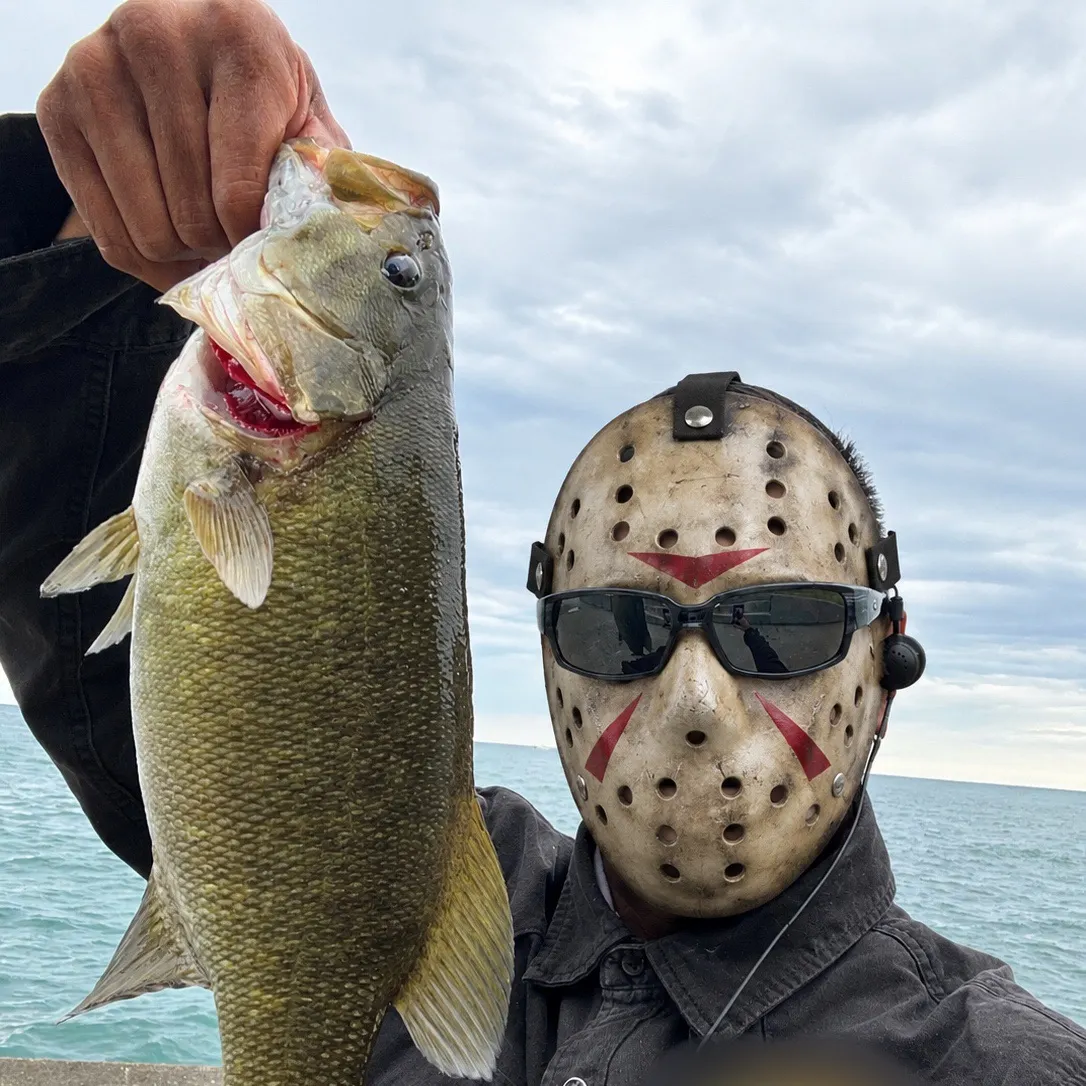 Smallmouth bass caught on Fishbrain