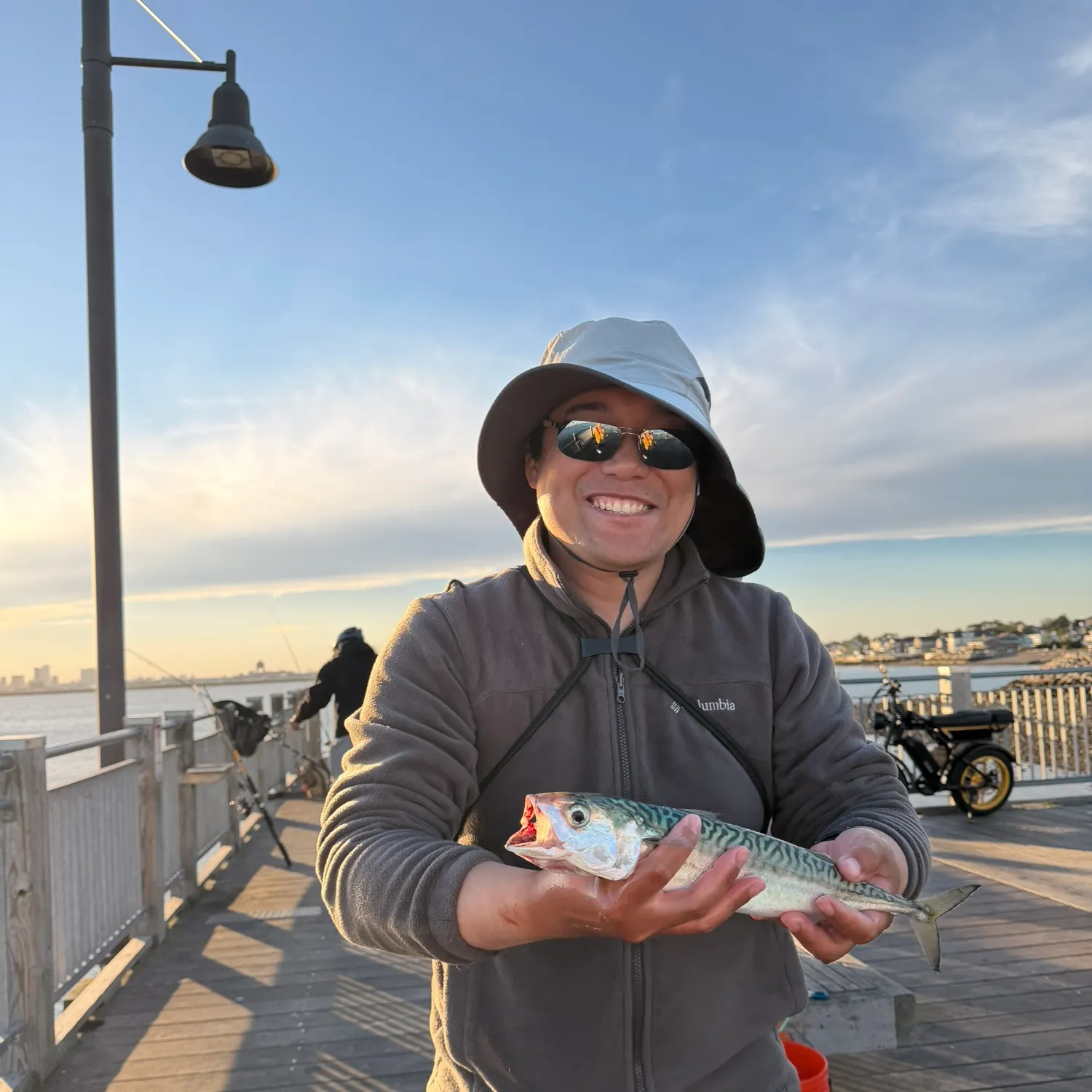 Atlantic mackerel caught on Fishbrain